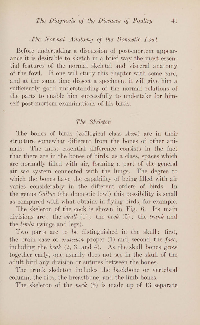 The Normal Anatomy of the Domestic Fowl Before undertaking a discussion of post-mortem appear- ance it is desirable to sketch in a brief way the most essen- tial features of the normal skeletal and visceral anatomy of the fowl. If one will study this chapter with some care, and at the same time dissect a specimen, it will give him a sufficiently good understanding of. the normal relations of the parts to enable him successfully to undertake for him- self post-mortem examinations of his birds. The Skeleton The bones of birds (zodlogical class Aves) are in their structure somewhat different from the bones of other ani- mals. The most essential difference consists in the fact that there are in the bones of birds, as a class, spaces which are normally filled with air, forming a part of the general air sac system connected with the lungs. The degree to which the bones have the capability of being filled with air varies considerably in the different orders of birds. In the genus Gallus (the domestic fowl) this possibility is small as compared with what obtains in flying birds, for example. The skeleton of the cock is shown in Fig. 6. Its main divisions are: the skull (1); the neck (5); the trunk and the limbs (wings and legs). Two parts are to be distinguished in the skull: first, the brain case or cranium proper (1) and, second, the face, including the beak (2, 3, and 4). As the skull bones grow together early, one usually does not see in the skull of the adult bird any division or sutures between the bones. The trunk skeleton includes the backbone or vertebral column, the ribs, the breastbone, and the limb bones. The skeleton of the neck (5) is made up of 13 separate