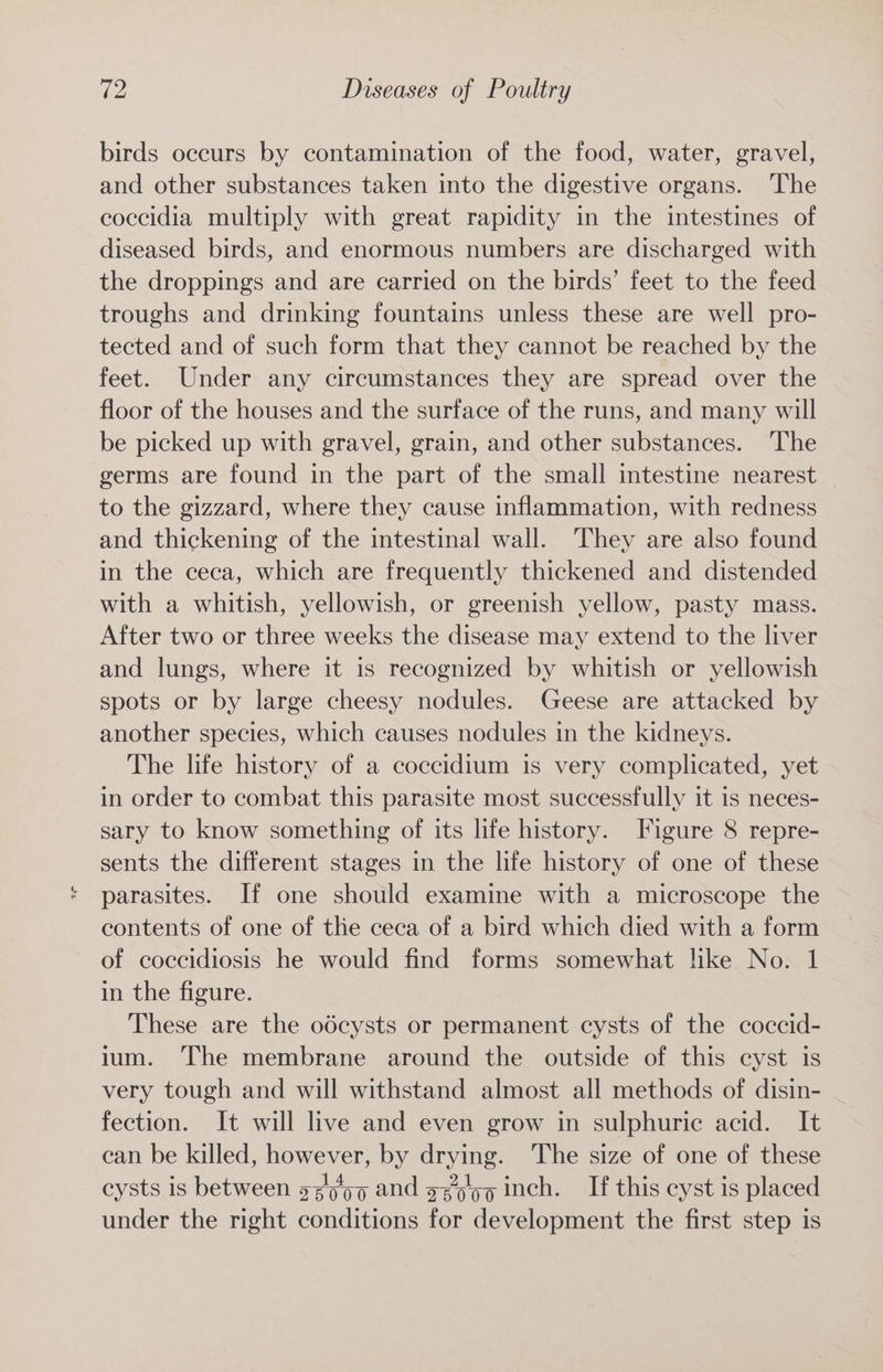 birds occurs by contamination of the food, water, gravel, and other substances taken into the digestive organs. ‘The eoccidia multiply with great rapidity in the intestines of diseased birds, and enormous numbers are discharged with the droppings and are carried on the birds’ feet to the feed troughs and drinking fountains unless these are well pro- tected and of such form that they cannot be reached by the feet. Under any circumstances they are spread over the floor of the houses and the surface of the runs, and many will be picked up with gravel, grain, and other substances. ‘The germs are found in the part of the small intestine nearest — to the gizzard, where they cause inflammation, with redness and thickening of the intestinal wall. They are also found in the ceca, which are frequently thickened and distended with a whitish, yellowish, or greenish yellow, pasty mass. After two or three weeks the disease may extend to the liver and lungs, where it is recognized by whitish or yellowish spots or by large cheesy nodules. Geese are attacked by another species, which causes nodules in the kidneys. The life history of a coccidium is very complicated, yet in order to combat this parasite most successfully it is neces- sary to know something of its life history. Figure 8 repre- sents the different stages in the life history of one of these parasites. If one should examine with a microscope the contents of one of the ceca of a bird which died with a form of coccidiosis he would find forms somewhat like No. 1 in the figure. These are the odcysts or permanent cysts of the coccid- ium. The membrane around the outside of this cyst is very tough and will withstand almost all methods of disin- fection. It will live and even grow in sulphuric acid. It can be killed, however, by drying. The size of one of these cysts is between gzjo9 and gx5/gq inch. If this cyst is placed under the right conditions for development the first step is