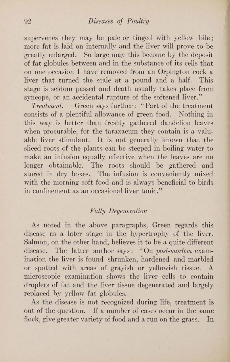 supervenes they may be pale or tinged with yellow bile; more fat is laid on internally and the liver will prove to be greatly enlarged. So large may this become by the deposit of fat globules between and in the substance of its cells that on one occasion I have removed from an Orpington cock a liver that turned the scale at a pound and a half. This stage 1s seldom passed and death usually takes place from syncope, or an accidental rupture of the softened liver.” Treatment. — Green says further: “Part of the treatment consists of a plentiful allowance of green food. Nothing in this way is better than freshly gathered dandelion leaves when procurable, for the taraxacum they contain is a valu- able liver stimulant. It is not generally known that the sliced roots of the plants can be steeped in boiling water to make an infusion equally effective when the leaves are no longer obtainable. The roots should be gathered and stored in dry boxes. The infusion is conveniently mixed with the morning soft food and is always beneficial to birds in confinement as an occasional liver tonic.” Fatty Degeneration As noted in the above paragraphs, Green regards this disease as a later stage in the hypertrophy of the liver. Salmon, on the other hand, believes it to be a quite different disease. The latter author says: “On post-mortem exam- ination the liver is found shrunken, hardened and marbled or spotted with areas of grayish or yellowish tissue. A microscopic examination shows the liver cells to contain droplets of fat and the liver tissue degenerated and largely replaced by yellow fat globules. As the disease is not recognized during life, treatment is out of the question. If a number of cases occur in the same flock, give greater variety of food and a run on the grass. In