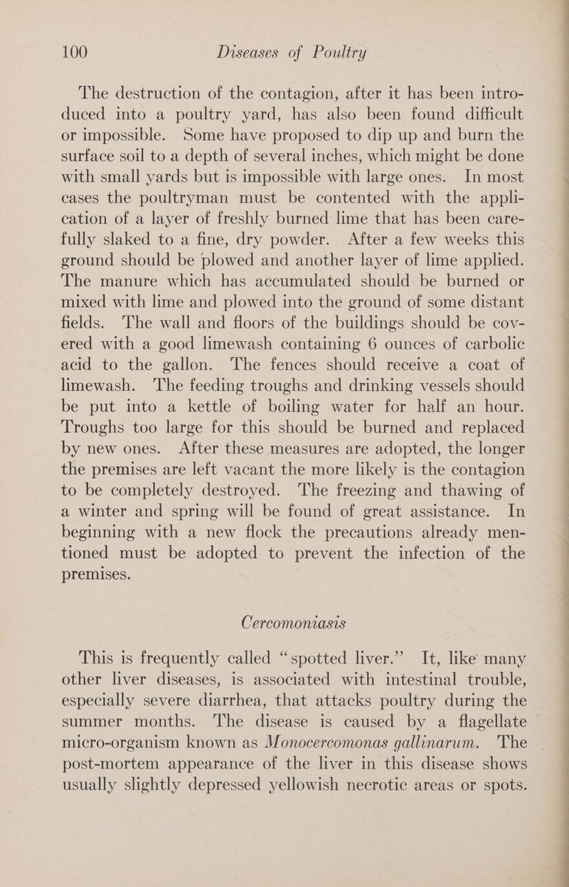 The destruction of the contagion, after it has been intro- duced into a poultry yard, has also been found difficult or impossible. Some have proposed to dip up and burn the surface soil to a depth of several inches, which might be done with small yards but is impossible with large ones. In most cases the poultryman must be contented with the appli- cation of a layer of freshly burned lime that has been care- fully slaked to a fine, dry powder. After a few weeks this ground should be plowed and another layer of lime applied. The manure which has accumulated should be burned or mixed with lime and plowed into the ground of some distant fields. The wall and floors of the buildings should be cov- ered with a good limewash containing 6 ounces of carbolic acid to the gallon. The fences should receive a coat of limewash. The feeding troughs and drinking vessels should be put into a kettle of boiling water for half an hour. Troughs too large for this should be burned and replaced by new ones. After these measures are adopted, the longer the premises are left vacant the more likely is the contagion to be completely destroyed. The freezing and thawing of a winter and spring will be found of great assistance. In beginning with a new flock the precautions already men- tioned must be adopted to prevent the infection of the premises. Cercomoniasts This is frequently called “spotted liver.” It, like many other liver diseases, is associated with intestinal trouble, especially severe diarrhea, that attacks poultry during the micro-organism known as Monocercomonas gallinarum. The post-mortem appearance of the liver in this disease shows usually slightly depressed yellowish necrotic areas or spots. — ea Seep we