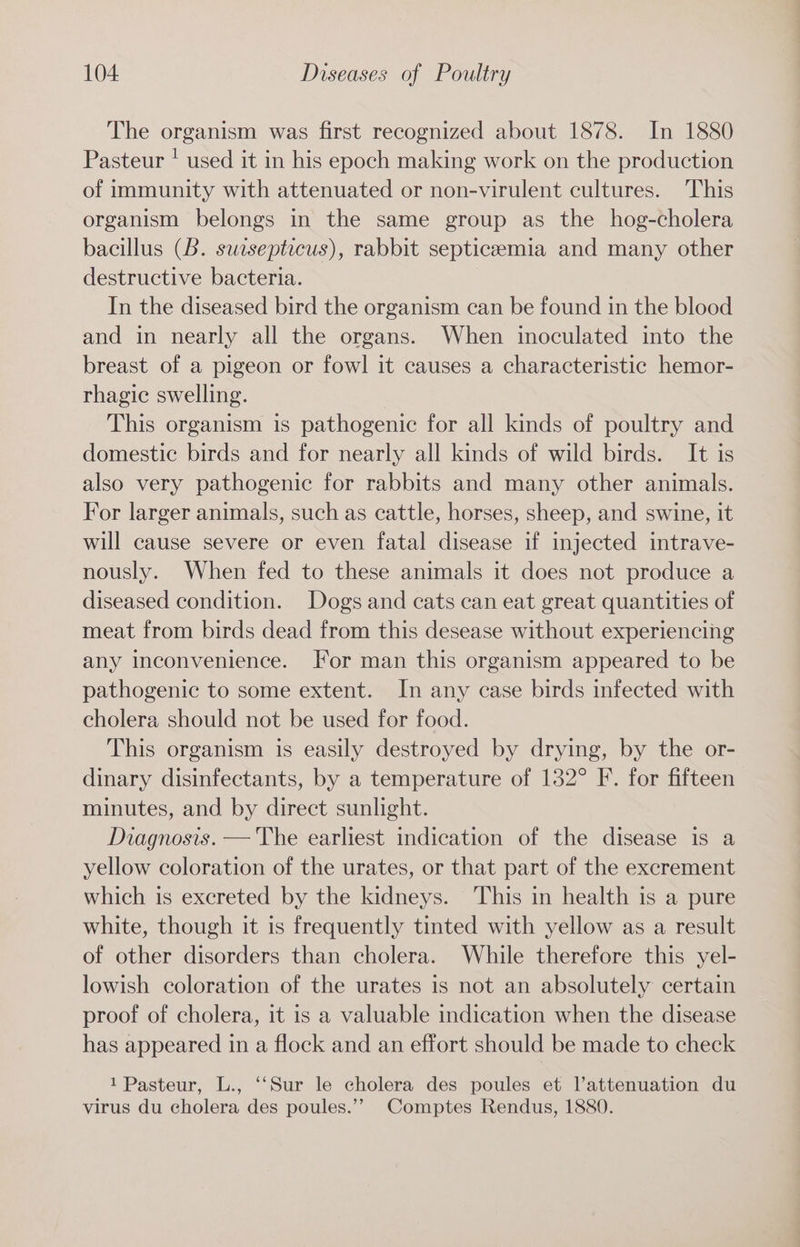 The organism was first recognized about 1878. In 1880 Pasteur ' used it in his epoch making work on the production of immunity with attenuated or non-virulent cultures. This organism belongs in the same group as the hog-cholera bacillus (B. swisepticus), rabbit septicemia and many other destructive bacteria. In the diseased bird the organism can be found in the blood and in nearly all the organs. When inoculated into the breast of a pigeon or fowl it causes a characteristic hemor- rhagic swelling. This organism is pathogenic for all kinds of poultry and domestic birds and for nearly all kinds of wild birds. It is also very pathogenic for rabbits and many other animals. For larger animals, such as cattle, horses, sheep, and swine, it will cause severe or even fatal disease if injected intrave- nously. When fed to these animals it does not produce a diseased condition. Dogs and cats can eat great quantities of meat from birds dead from this desease without experiencing any inconvenience. For man this organism appeared to be pathogenic to some extent. In any case birds infected with cholera should not be used for food. This organism is easily destroyed by drying, by the or- dinary disinfectants, by a temperature of 132° F. for fifteen minutes, and by direct sunlight. Diagnosis. — The earliest indication of the disease is a yellow coloration of the urates, or that part of the excrement which is excreted by the kidneys. This in health is a pure white, though it is frequently tinted with yellow as a result of other disorders than cholera. While therefore this yel- lowish coloration of the urates is not an absolutely certain proof of cholera, it is a valuable indication when the disease has appeared in a flock and an effort should be made to check 1 Pasteur, L., “Sur le cholera des poules et lVattenuation du virus du cholera des poules.’’ Comptes Rendus, 1880.