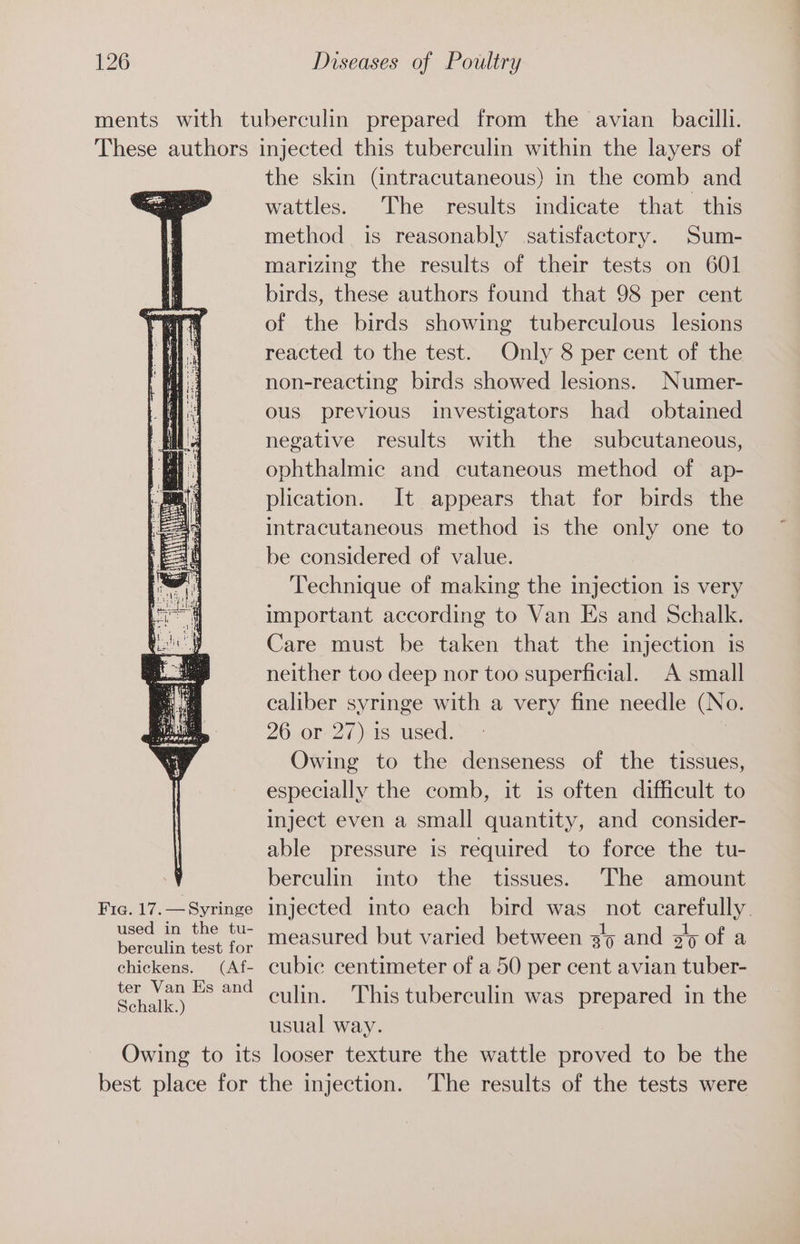 Fia. 17. — Syringe used in the tu- berculin test for chickens. (Af- ter Van Es and Schalk.) the skin (intracutaneous) in the comb and wattles. The results indicate that this method is reasonably satisfactory. Sum- marizing the results of their tests on 601 birds, these authors found that 98 per cent of the birds showing tuberculous lesions reacted to the test. Only 8 per cent of the non-reacting birds showed lesions. Numer- ous previous investigators had obtained negative results with the subcutaneous, ophthalmic and cutaneous method of ap- plication. It appears that for birds the intracutaneous method is the only one to be considered of value. Technique of making the injection is very important according to Van Es and Schalk. Care must be taken that the injection is neither too deep nor too superficial. A small caliber syringe with a very fine needle (No. 26 or 27) is used. Owing to the denseness of the tissues, especially the comb, it is often difficult to inject even a small quantity, and consider- able pressure is required to force the tu- berculin into the tissues. The amount injected into each bird was not carefully. measured but varied between 35 and 3/5 of a cubic centimeter of a 50 per cent avian tuber- culin. This tuberculin was prepared in the usual way.