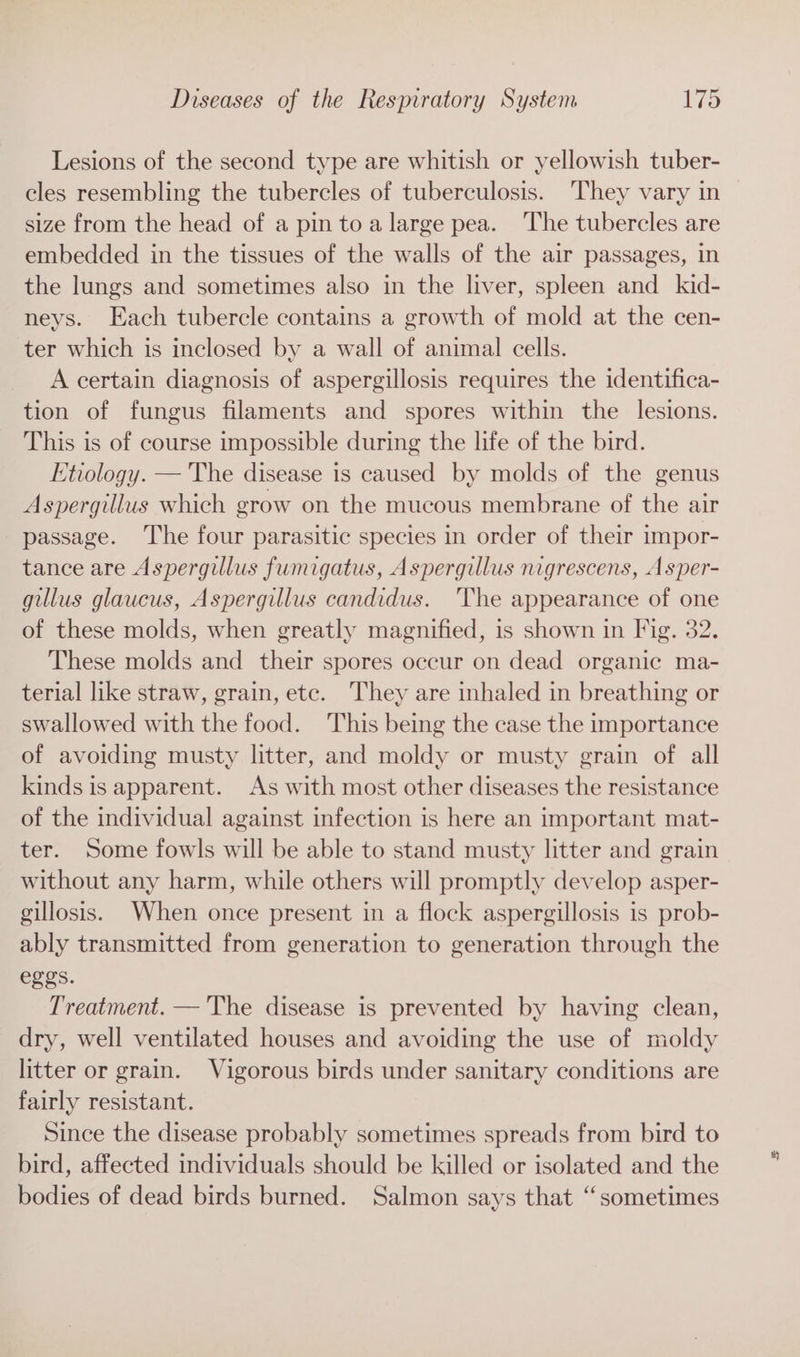 Lesions of the second type are whitish or yellowish tuber- cles resembling the tubercles of tuberculosis. They vary in size from the head of a pin toa large pea. ‘The tubercles are embedded in the tissues of the walls of the air passages, in the lungs and sometimes also in the liver, spleen and kid- neys. Each tubercle contains a growth of mold at the cen- ter which is inclosed by a wall of animal cells. A certain diagnosis of aspergillosis requires the identifica- tion of fungus filaments and spores within the lesions. This is of course impossible during the life of the bird. Etiology. — 'The disease is caused by molds of the genus Aspergillus which grow on the mucous membrane of the air passage. The four parasitic species in order of their impor- tance are Aspergillus fumigatus, Aspergillus nigrescens, Asper- gillus glaucus, Aspergillus candidus. The appearance of one of these molds, when greatly magnified, is shown in Fig. 32. These molds and their spores occur on dead organic ma- terial like straw, grain, etc. They are inhaled in breathing or swallowed with the food. This being the case the importance of avoiding musty litter, and moldy or musty grain of all kinds is apparent. As with most other diseases the resistance of the individual against infection is here an important mat- ter. Some fowls will be able to stand musty litter and grain without any harm, while others will promptly develop asper- gillosis. When once present in a flock aspergillosis is prob- ably transmitted from generation to generation through the eggs. Treatment. — The disease is prevented by having clean, dry, well ventilated houses and avoiding the use of moldy litter or grain. Vigorous birds under sanitary conditions are fairly resistant. Since the disease probably sometimes spreads from bird to bird, affected individuals should be killed or isolated and the bodies of dead birds burned. Salmon says that “sometimes
