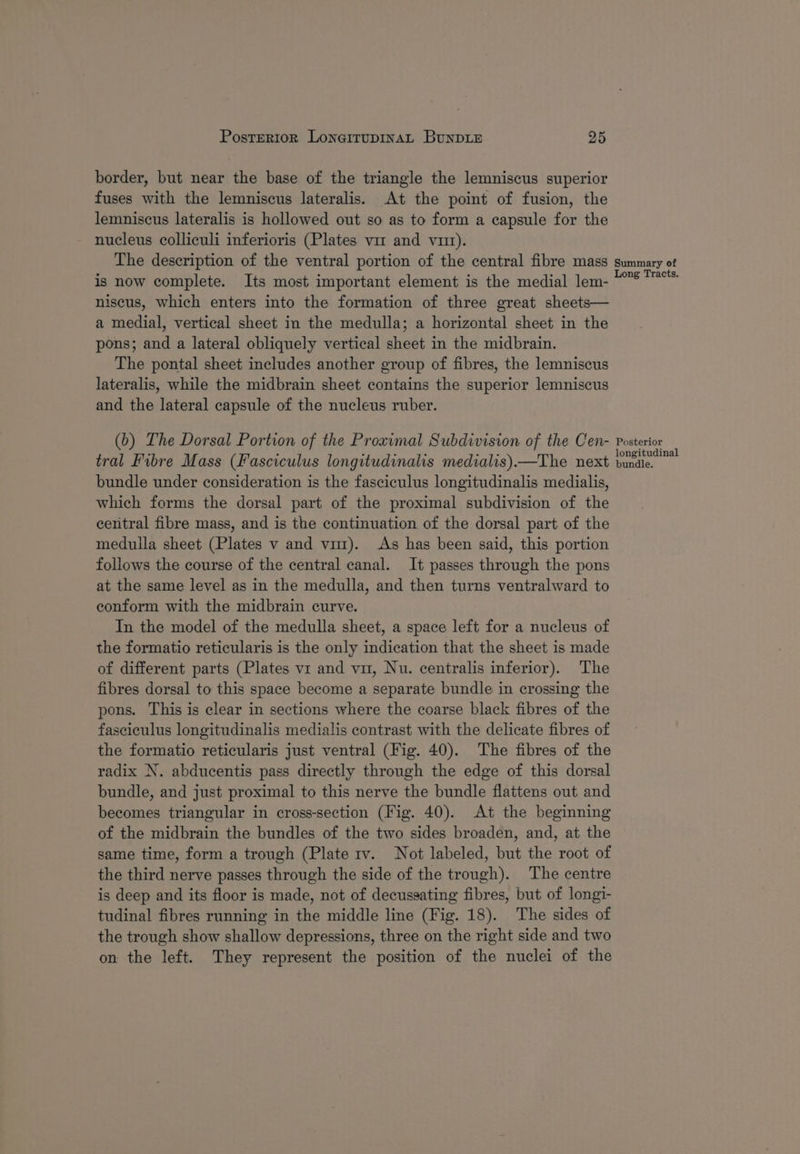 border, but near the base of the triangle the lemniscus superior fuses with the lemniscus lateralis. At the point of fusion, the lemniscus lateralis is hollowed out so as to form a capsule for the nucleus colliculi inferioris (Plates vir and viit). The description of the ventral portion of the central fibre mass is now complete. Its most important element is the medial lem- niscus, which enters into the formation of three great sheets— a medial, vertical sheet in the medulla; a horizontal sheet in the pons; and a lateral obliquely vertical sheet in the midbrain. The pontal sheet includes another group of fibres, the lemniscus lateralis, while the midbrain sheet contains the superior lemniscus and the lateral capsule of the nucleus ruber. (b) The Dorsal Portion of the Proximal Subdivision of the Cen- tral Fibre Mass (fasciculus longitudinalis medialis)—The next bundle under consideration is the fasciculus longitudinalis medialis, which forms the dorsal part of the proximal subdivision of the ceitral fibre mass, and is the continuation of the dorsal part of the medulla sheet (Plates v and vi). As has been said, this portion follows the course of the central canal. It passes through the pons at the same level as in the medulla, and then turns ventralward to conform with the midbrain curve. In the model of the medulla sheet, a space left for a nucleus of the formatio reticularis is the only indication that the sheet is made of different parts (Plates v1 and vir, Nu. centralis inferior). The fibres dorsal to this space become a separate bundle in crossing the pons. This is clear in sections where the coarse black fibres of the fasciculus longitudinalis medialis contrast with the delicate fibres of the formatio reticularis just ventral (Fig. 40). The fibres of the radix N. abducentis pass directly through the edge of this dorsal bundle, and just proximal to this nerve the bundle flattens out and becomes triangular in cross-section (Fig. 40). At the beginning of the midbrain the bundles of the two sides broaden, and, at the same time, form a trough (Plate 1v. Not labeled, but the root of the third nerve passes through the side of the trough). The centre is deep and its floor is made, not of decussating fibres, but of longi- tudinal fibres running in the middle line (Fig. 18). The sides of the trough show shallow depressions, three on the right side and two on the left. They represent the position of the nuclei of the Summary of Long Tracts. Posterior longitudinal bundle.