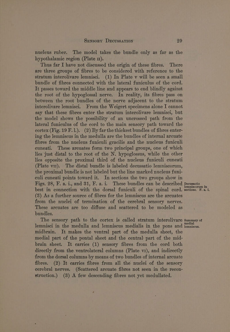 nucleus ruber. The model takes the bundle only as far as the hypothalamic region (Plate 2). Thus far I have not discussed the origin of these fibres. There are three groups of fibres to be considered with reference to the stratum interolivare lemnisci. (1) In Plate v will be seen a small bundle of fibres connected with the lateral funiculus of the cord. It passes toward the middle line and appears to end blindly against the root of the hypoglossal nerve. In reality, its fibres pass on between the root bundles of the nerve adjacent to the stratum interolivare lemnisci. From the Weigert specimens alone I cannot say that these fibres enter the stratum interolivare lemnisci, but the model shows the possibility of an uncrossed path from the lateral funiculus of the cord to the main sensory path toward the cortex (Fig. 19 F.1.). (2) By far the thickest bundles of fibres enter- ing the lemniscus in the medulla are the bundles of internal arcuate fibres from the nucleus funiculi gracilis and the nucleus funiculi cuneati. These arcuates form two principal groups, one of which lies just distal to the root of the N. hypoglossus, while the other lies opposite the proximal third of the nucleus funiculi cuneati (Plate vir). The distal bundle is labeled decussatio lemniscorum, the proximal bundle is not labeled but the line marked nucleus funi- culi cuneati points toward it. In sections the two groups show in Figs. 28, F. a.i., and 31, F. a. i. These bundles can be described best in connection with the dorsal funiculi of the spinal cord. (3) As a further source of fibres for the lemniscus are the arcuates from the nuclei of termination of the cerebral sensory nerves. These arcuates are too diffuse and scattered to be modeled as bundles. The sensory path to the cortex is called stratum interolivare lemnisci in the medulla and lemniscus medialis in the pons and midbrain. It makes the ventral part of the medulla sheet, the medial part of the pontal sheet and the central part of the mid- brain sheet. It carries (1) sensory fibres from the cord both directly from the ventrolateral columns (Plate v1), and indirectly from the dorsal columns by means of two bundles of internal arcuate fibres. (2) It carries fibres from all the nuclei of the sensory cerebral nerves. (Scattered arcuate fibres not seen in the recon- struction.) (3) A few descending fibres not yet medullated. Decussatio ‘ lemniscorum in sections. F. a. i. Summary of medial lemniscus.