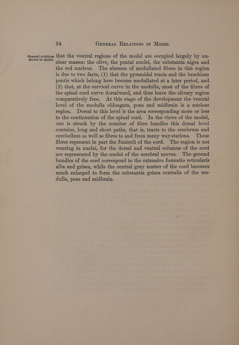 General relations that the ventral regions of the model are occupied largely by nu- Shown in model clear masses: the olive, the pontal nuclei, the substantia nigra and the red nucleus. The absence of medullated fibres in this region is due to two facts, (1) that the pyramidal tracts and the brachium pontis which belong here become medullated at a later period, and (2) that, at the cervical curve in the medulla, most of the fibres of the spinal cord curve dorsalward, and thus leave the olivary region comparatively free. At this stage of the development the ventral level of the medulla oblongata, pons and midbrain is a nuclear region. Dorsal to this level is the area corresponding more or less to the continuation of the spinal cord. In the views of the model, one is struck by the number of fibre bundles this dorsal level contains, long and short paths, that is, tracts to the cerebrum and cerebellum as well as fibres to and from many way-stations. ‘These fibres represent in part the funiculi of the cord. The region is not wanting in nuclei, for the dorsal and ventral columns of the cord are represented by the nuclei of the cerebral nerves. The ground bundles of the cord correspond to the extensive formatio reticularis alba and grisea, while the central gray matter of the cord becomes much enlarged to form the substantia grisea centralis of the me- dulla, pons and midbrain.