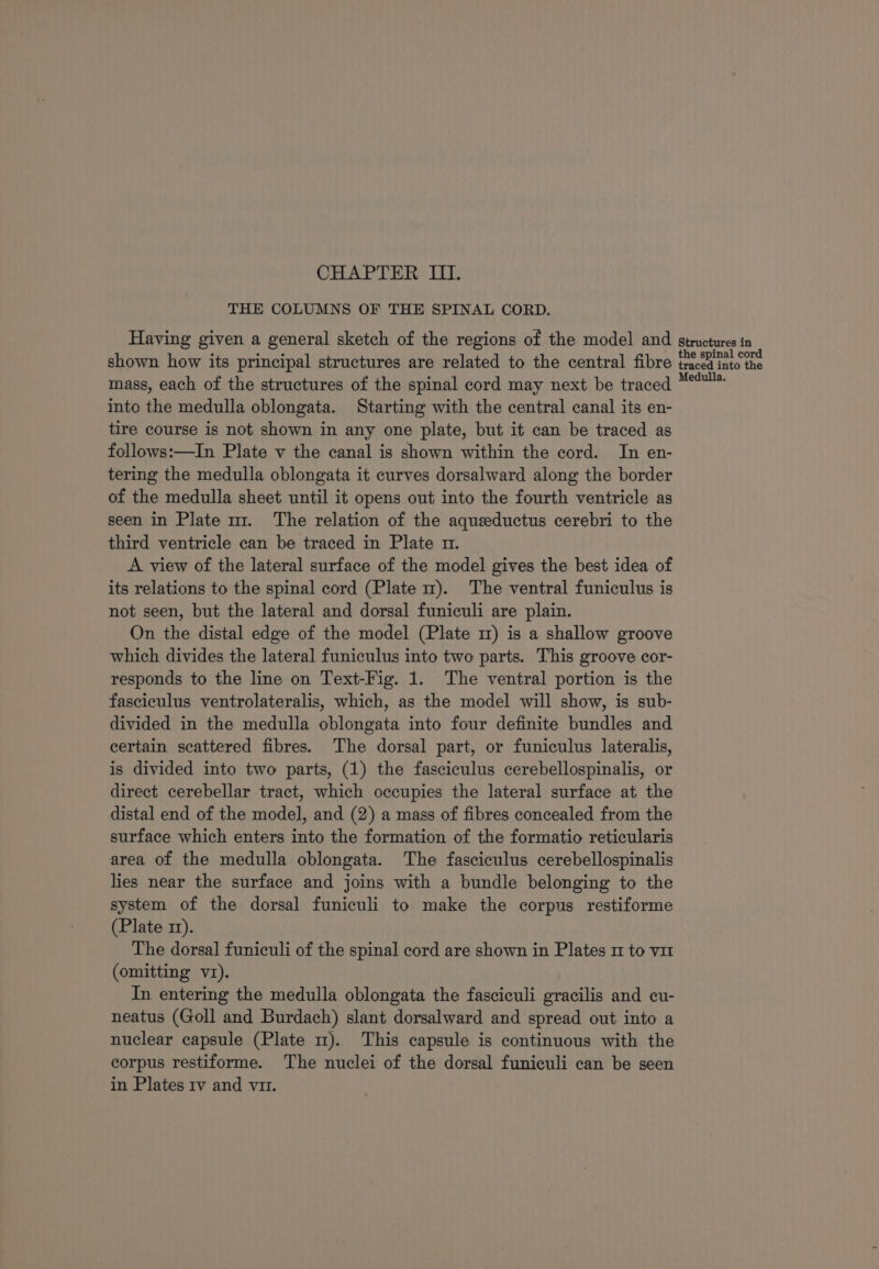 CHAPTER II. THE COLUMNS OF THE SPINAL CORD. Having given a general sketch of the regions of the model and shown how its principal structures are related to the central fibre mass, each of the structures of the spinal cord may next be traced into the medulla oblongata. Starting with the central canal its en- tire course is not shown in any one plate, but it can be traced as follows:—In Plate v the canal is shown within the cord. In en- tering the medulla oblongata it curves dorsalward along the border of the medulla sheet until it opens out into the fourth ventricle as seen in Plate ut. The relation of the aqueeductus cerebri to the third ventricle can be traced in Plate nm. A view of the lateral surface of the model gives the best idea of its relations to the spinal cord (Plate m). The ventral funiculus is not seen, but the lateral and dorsal funiculi are plain. On the distal edge of the model (Plate m) is a shallow groove which divides the lateral funiculus into two parts. This groove cor- responds to the line on Text-Fig. 1. The ventral portion is the fasciculus ventrolateralis, which, as the model will show, is sub- divided in the medulla oblongata into four definite bundles and certain scattered fibres. The dorsal part, or funiculus lateralis, is divided into two parts, (1) the fasciculus cerebellospinalis, or direct cerebellar tract, which occupies the lateral surface at the distal end of the model, and (2) a mass of fibres concealed from the surface which enters into the formation of the formatio reticularis area of the medulla oblongata. The fasciculus cerebellospinalis lies near the surface and joins with a bundle belonging to the system of the dorsal funiculi to make the corpus restiforme (Plate 12). The dorsal funiculi of the spinal cord are shown in Plates m to vir (omitting vr). In entering the medulla oblongata the fasciculi gracilis and cu- neatus (Goll and Burdach) slant dorsalward and spread out into a nuclear capsule (Plate m). This capsule is continuous with the corpus restiforme. The nuclei of the dorsal funiculi can be seen in Plates 1v and vu. Structures in the spinal cord traced into the Medulla.