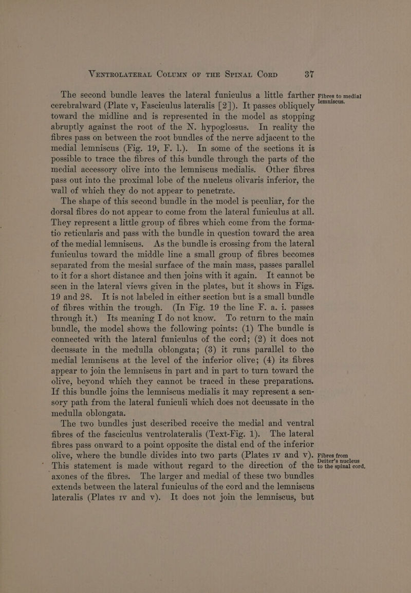 The second bundle leaves the lateral funiculus a little farther cerebralward (Plate v, Fasciculus lateralis [2]). It passes obliquely toward the midline and is represented in the model as stopping abruptly against the root of the N. hypoglossus. In reality the fibres pass on between the root bundles of the nerve adjacent to the medial lemniscus (Fig. 19, F. 1.). In some of the sections it is possible to trace the fibres of this bundle through the parts of the medial accessory olive into the lemniscus medialis. Other fibres pass out into the proximal lobe of the nucleus olivaris inferior, the wall of which they do not appear to penetrate. The shape of this second bundle in the model is peculiar, for the dorsal fibres do not appear to come from the lateral funiculus at all. They represent a little group of fibres which come from the forma- tio reticularis and pass with the bundle in question toward the area of the medial lemniscus. As the bundle is crossing from the lateral funiculus toward the middle line a small group of fibres becomes separated from the mesial surface of the main mass, passes parallel to it for a short distance and then joins with it again. It cannot be seen in the lateral views given in the plates, but it shows in Figs. 19 and 28. It is not labeled in either section but is a small bundle of fibres within the trough. (In Fig. 19 the line F. a. 1. passes through it.) Its meaning I do not know. To return to the main bundle, the model shows the following points: (1) The bundle is connected with the lateral funiculus of the cord; (2) it does not decussate in the medulla oblongata; (3) it runs parallel to the medial lemniscus at the level of the inferior olive; (4) its fibres appear to join the lemniscus in part and in part to turn toward the olive, beyond which they cannot be traced in these preparations. If this bundle joins the lemniscus medialis it may represent, a sen- sory path from the lateral funiculi which does not decussate in the medulla oblongata. The two bundles just described receive the medial and ventral fibres of the fasciculus ventrolateralis (Text-Fig. 1). The lateral fibres pass onward to a point opposite the distal end of the inferior olive, where the bundle divides into two parts (Plates 1v and v). This statement is made without regard to the direction of the -axones of the fibres. The larger and medial of these two bundles extends between the lateral funiculus of the cord and the lemniscus lateralis (Plates 1v and v). It does not join the lemniscus, but Fibres to medial lemniscus. Fibres from Deiter’s nucleus to the spinal cord.