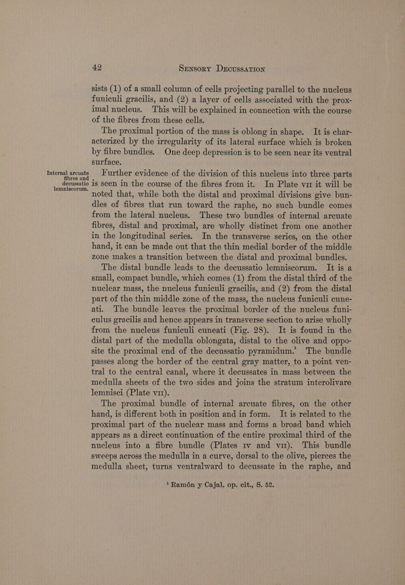 Internal arcuate res an decussatio lemniscorum. 492 Sensory DercussatTion sists (1) of a small column of cells projecting parallel to the nucleus funiculi gracilis, and (2) a layer of cells associated with the prox- imal nucleus. This will be explained in connection with the course of the fibres from these cells. The proximal portion of the mass is oblong in shape. It is char- acterized by the irregularity of its lateral surface which is broken by fibre bundles. One deep depression is to be seen near its ventral surface. Further evidence of the division of this nucleus into three parts is seen in the course of the fibres from it. In Plate vi it will be noted that, while both the distal and proximal divisions give bun- dles of fibres that run toward the raphe, no such bundle comes from the lateral nucleus. These two bundles of internal arcuate fibres, distal and proximal, are wholly distinct from one another in the longitudinal series. In the transverse series, on the other hand, it can be made out that the thin medial border of the middle zone makes a transition between the distal and proximal bundles. The distal bundle leads to the decussatio lemniscorum. It is a small, compact bundle, which comes (1) from the distal third of the nuclear mass, the nucleus funiculi gracilis, and (2) from the distal part of the thin middle zone of the mass, the nucleus funiculi cune- ati. The bundle leaves the proximal border of the nucleus funi- culus gracilis and hence appears in transverse section to arise wholly from the nucleus funiculi cuneati (Fig. 28). It is found in the distal part of the medulla oblongata, distal to the olive and oppo- site the proximal end of the decussatio pyramidum.’ The bundle passes along the border of the central gray matter, to a point ven- tral to the central canal, where it decussates in mass between the medulla sheets of the two sides and joins the stratum interolivare lemnisci (Plate vir). The proximal bundle of internal areuate fibres, on the other hand, is different both in position and in form. It is related to the proximal part of the nuclear mass and forms a broad band which appears as a direct continuation of the entire proximal third of the nucleus into a fibre bundle (Plates tv and vi). This bundle sweeps across the medulla in a curve, dorsal to the olive, pierces the medulla sheet, turns ventralward to decussate in the raphe, and *Ramon y Cajal, op. cit., S. 52.