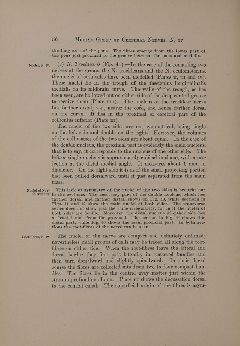 Nuclei of N. Iv in sections. Root-fibres, N. Iv. 56 Mepian Group or Creresrat Nerves, N. iv the long axis of the pons. The fibres emerge from the lower part of the pons just proximal to the groove between the pons and medulla. nerves of the group, the N. trochlearis and the N. oculomotorius, the nuclei of both sides have been modelled (Plates um, mz and tv). These nuclei lie in the trough of the fasciculus longitudinalis medialis on its midbrain curve. The walls of the trough, as has been seen, are hollowed out on either side of the deep central groove to receive them (Plate vu). The nucleus of the trochlear nerve lies farther distal, z.¢., nearer the cord, and hence farther dorsal on the curve. It lies in the proximal or cerebral part of the colliculus inferior (Plate 11). The nuclei of the two sides are not symmetrical, being single on the left side and double on the right. However, the volumes of the cell-masses of the two sides are about equal. In the case of the double nucleus, the proximal part is evidently the main nucleus, that is to say, it corresponds to the nucleus of the other side. The left or single nucleus is approximately cubical in shape, with a pro- jection at the distal medial angle. It measures about 1 mm. in diameter. On the right side it is as if the small projecting portion had been pulled dorsalward_ until it just separated from the main mass. This lack of symmetry of the nuclei of the two sides is brought out in the sections. The accessory part of the double nucleus, which lies farther dorsal and farther distal, shows on Fig. 10, while sections in Figs. 11 and 12 show the main nuclei of both sides. The transverse series does not show just the same irregularity, for in it the nuclei of both sides are double. Moreover, the distal nucleus of either side lies at least 1 mm. from the proximal. The section in Fig. 44 shows this distal part, while Fig. 46 shows the main proximal part. In both see- tions the root-fibres of the nerve can be seen. The nuclei of the nerve are compact and definitely outlined; nevertheless small groups of cells may be traced all along the root- fibres on either side. When the root-fibres leave the lateral and dorsal border they first pass laterally in scattered bundles and then turn dorsalward and slightly spinalward. In their dorsal course the fibres are.collected into from two to four compact bun- dles. The fibres lie in the central gray matter just within the © stratum profundum album. Plate mz shows the decussation dorsal to the central canal. The superficial origin of the fibres is asym-