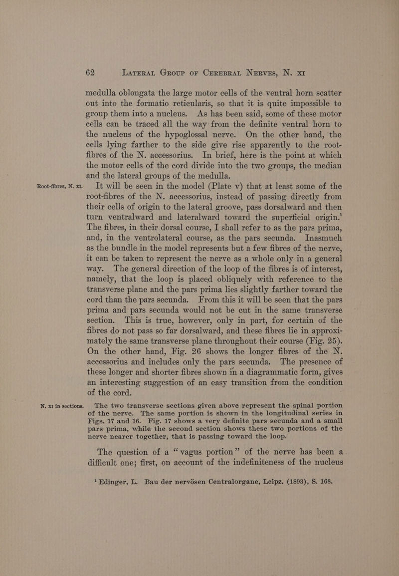 N. x1 in sections. 62 Lateral Group or Crresrat Nerves, N. x1 medulla oblongata the large motor cells of the ventral horn scatter out into the formatio reticularis, so that it is quite impossible to group them into a nucleus. As has been said, some of these motor cells can be traced all the way from the definite ventral horn to the nucleus of the hypoglossal nerve. On the other hand, the cells lying farther to the side give rise apparently to the root- fibres of the N. accessorius. In brief, here is the point at which the motor cells of the cord divide into the two groups, the median and the lateral groups of the medulla. root-fibres of the N. accessorius, instead of passing directly from their cells of origin to the lateral groove, pass dorsalward and then turn ventralward and lateralward toward the superficial origin.’ The fibres, in their dorsal course, I shall refer to as the pars prima, and, in the ventrolateral course, as the pars secunda. Inasmuch as the bundle in the model represents but a few fibres of the nerve, it can be taken to represent the nerve as a whole only in a general way. ‘The general direction of the loop of the fibres is of interest, namely, that the loop is placed obliquely with reference to the transverse plane and the pars prima lies slightly farther toward the cord than the pars secunda. From this it will be seen that the pars prima and pars secunda would not be cut in the same transverse section. This is true, however, only in part, for certain of the fibres do not pass so far dorsalward, and these fibres lie in approxi- mately the same transverse plane throughout their course (Fig. 25). On the other hand, Fig. 26 shows the longer fibres of the N. accessorius and includes only the pars secunda. The presence of these longer and shorter fibres shown in a diagrammatic form, gives an interesting suggestion of an easy transition from the condition of the cord. The two transverse sections given above represent the spinal portion of the nerve. The same portion is shown in the longitudinal series in Figs. 17 and 16. Fig. 17 shows a very definite pars secunda and a small pars prima, while the second section shows these two portions of the nerve nearer together, that is passing toward the loop. The question of a “vagus portion” of the nerve has been a. difficult one; first, on account of the indefiniteness of the nucleus 1 Edinger, L. Bau der nervésen Centralorgane, Leipz. (1893), S. 168.