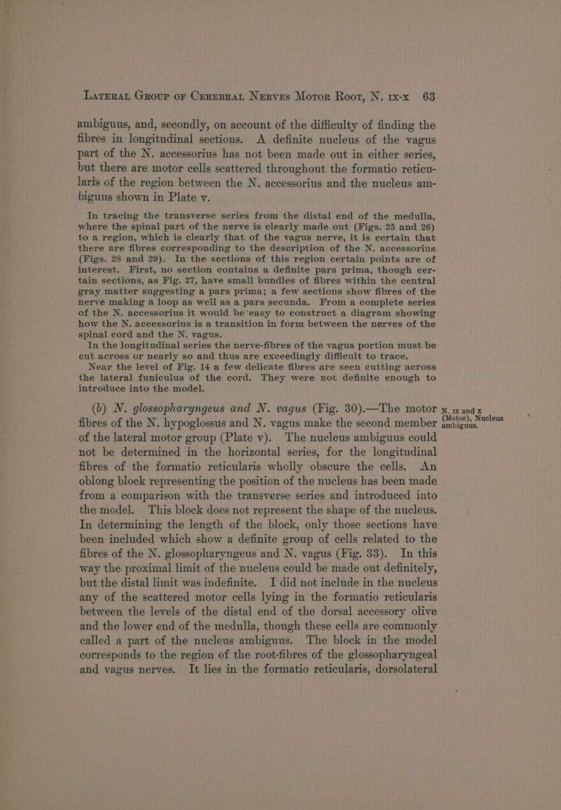 ambiguus, and, secondly, on account of the difficulty of finding the fibres in longitudinal sections. A definite nucleus of the vagus part of the N. accessorius has not been made out in either series, but there are motor cells scattered throughout the formatio reticu- laris of the region between the N. accessorius and the nucleus am- biguus shown in Plate v. In tracing the transverse series from the distal end of the medulla, where the spinal part of the nerve is clearly made out (Figs. 25 and 26) to a region, which is clearly that of the vagus nerve, it is certain that there are fibres corresponding to the description of the N. accessorius (Figs. 28 and 29). In the sections of this region certain points are of interest. First, no section contains a definite pars prima, though cer- tain sections, as Fig. 27, have small bundles of fibres within the central gray matter suggesting a pars prima; a few sections show fibres of the nerve making a loop as well as a pars secunda. From a complete series of the N. accessorius it would beeasy to construct a diagram showing how the N. accessorius is a transition in form between the nerves of the spinal cord and the N. vagus. In the longitudinal series the nerve-fibres of the vagus portion must be cut across or nearly so and thus are exceedingly difficult to trace. Near the level of Fig. 14 a few delicate fibres are seen cutting across the lateral funiculus of the cord. They were not definite enough to introduce into the model. (b) N. glossopharyngeus and N. vagus (Fig. 30).—The motor fibres of the N. hypoglossus and N. vagus make the second member of the lateral motor group (Plate v). The nucleus ambiguus could not be determined in the horizontal series, for the longitudinal fibres of the formatio reticularis wholly obscure the cells. An oblong block representing the position of the nucleus has been made from a comparison with the transverse series and introduced into the model. This block does not represent the shape of the nucleus. In determining the length of the block, only those sections have been included which show a definite group of cells related to the fibres of the N. glossopharyngeus and N. vagus (Fig. 33). In this way the proximal limit of the nucleus could be made out definitely, but the distal limit was indefinite. I did not include in the nucleus any of the scattered motor cells lying in the formatio reticularis between the levels of the distal end of the dorsal accessory olive and the lower end of the medulla, though these cells are commonly ealled a part of the nucleus ambiguus. The block in the model corresponds to the region of the root-fibres of the glossopharyngeal and vagus nerves. It lies in the formatio reticularis, dorsolateral N. 1x and x (Motor), Nucleus ambiguus.