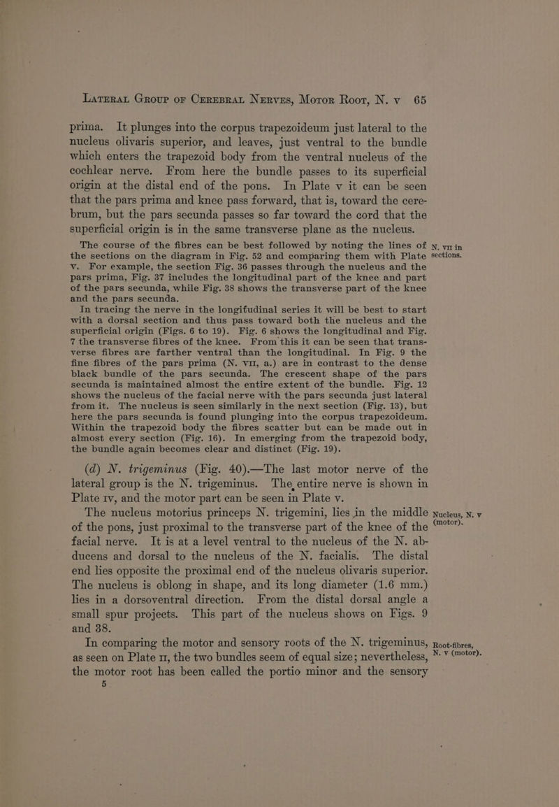 prima. It plunges into the corpus trapezoideum just lateral to the nucleus olivaris superior, and leaves, just ventral to the bundle which enters the trapezoid body from the ventral nucleus of the cochlear nerve. From here the bundle passes to its superficial origin at the distal end of the pons. In Plate v it can be seen that the pars prima and knee pass forward, that is, toward the cere- brum, but the pars secunda passes so far toward the cord that the superficial origin is in the same transverse plane as the nucleus. The course of the fibres can be best followed by noting the lines of the sections on the diagram in Fig. 52 and comparing them with Plate v. For example, the section Fig. 36 passes through the nucleus and the pars prima, Fig. 37 includes the longitudinal part of the knee and part of the pars secunda, while Fig. 38 shows the transverse part of the knee and the pars secunda. In tracing the nerve in the longifudinal series it will be best to start with a dorsal section and thus pass toward both the nucleus and the superficial origin (Figs. 6 to 19). Fig. 6 shows the longitudinal and Fig. 7 the transverse fibres of the knee. From this it can be seen that trans- verse fibres are farther ventral than the longitudinal. In Fig. 9 the fine fibres of the pars prima (N. Vil, a.) are in contrast to the dense black bundle of the pars secunda. The crescent shape of the pars secunda is maintained almost the entire extent of the bundle. Fig. 12 shows the nucleus of the facial nerve with the pars secunda just lateral from it. The nucleus is seen similarly in the next section (Fig. 13), but here the pars secunda is found plunging into the corpus trapezoideum. Within the trapezoid body the fibres scatter but can be made out in almost every section (Fig. 16). In emerging from the trapezoid body, the bundle again becomes clear and distinct (Fig. 19). (d) N. trigeminus (Fig. 40).—The last motor nerve of the lateral group is the N. trigeminus. The, entire nerve is shown in Plate rv, and the motor part can be seen in Plate v. The nucleus motorius princeps N. trigemini, lies in the middle of the pons, just proximal to the transverse part of the knee of the facial nerve. It is at a level ventral to the nucleus of the N. ab- ducens and dorsal to the nucleus of the N. facialis. The distal end lies opposite the proximal end of the nucleus olivaris superior. The nucleus is oblong in shape, and its long diameter (1.6 mm.) lies in a dorsoventral direction. From the distal dorsal angle a small spur projects. This part of the nucleus shows on Figs. 9 and 38. In comparing the motor and sensory roots of the N. trigeminus, as seen on Plate m1, the two bundles seem of equal size; nevertheless, the motor root has been called the portio minor and the sensory 5 N. vi in sections. Nucleus, N. v (motor). Root-fibres, N. v (motor).