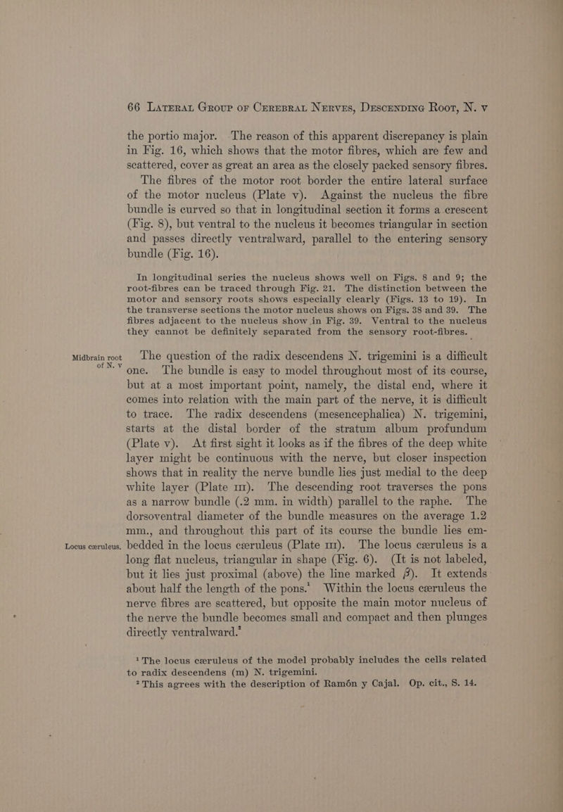 Midbrain root of N. v Locus czruleus, 66 Latrerat Group or Creresrat Nerves, Descenprne Root, N. v the portio major. The reason of this apparent discrepancy is plain in Fig. 16, which shows that the motor fibres, which are few and scattered, cover as great an area as the closely packed sensory fibres. The fibres of the motor root border the entire lateral surface of the motor nucleus (Plate v). Against the nucleus the fibre bundle is curved so that in longitudinal section it forms a crescent (Fig. 8), but ventral to the nucleus it becomes triangular in section and passes directly ventralward, parallel to the entering sensory bundle (Fig. 16). In longitudinal series the nucleus shows well on Figs. 8 and 9; the root-fibres can be traced through Fig. 21. The distinction between the motor and sensory roots shows especially clearly (Figs. 13 to 19). In the transverse sections the motor nucleus shows on Figs. 38 and 39. The fibres adjacent to the nucleus show in Fig. 39. Ventral to the nucleus they cannot be definitely separated from the sensory root-fibres. The question of the radix descendens N. trigemini is a difficult one. The bundle is easy to model throughout most of its course, but at a most important point, namely, the distal end, where it comes into relation with the main part of the nerve, it is difficult to trace. The radix descendens (mesencephalica) N. trigemini, starts at the distal border of the stratum album profundum (Plate v). At first sight it looks as if the fibres of the deep white layer might be continuous with the nerve, but closer inspection shows that in reality the nerve bundle lies just medial to the deep white layer (Plate mt). The descending root traverses the pons as a narrow bundle (.2 mm. in width) parallel to the raphe. The dorsoventral diameter of the bundle measures on the average 1.2 mm., and throughout this part of its course the bundle lies em- bedded in the locus ceeruleus (Plate m1). The locus ceeruleus is a long flat nucleus, triangular in shape (Fig. 6). (It is not labeled, but it lies just proximal (above) the line marked #). It extends: about half the length of the pons. Within the locus ceruleus the nerve fibres are scattered, but opposite the main motor nucleus of the nerve the bundle becomes small and compact and then plunges directly ventralward.” 1The locus ceeruleus of the model probably includes the cells related to radix descendens (m) N. trigemini.