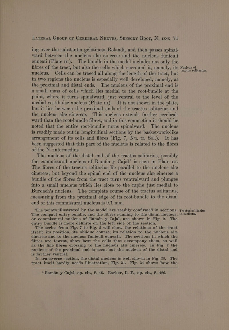ing over the substantia gelatinosa Rolandi, and then passes spinal- ward between the nucleus ale cineree and the nucleus funiculi cuneati (Plate mz). The bundle in the model includes not only the fibres of the tract, but also the cells which surround it, namely, its nucleus. Cells can be traced all along the length of the tract, but in two regions the nucleus is especially well developed, namely, at the proximal and distal ends. The nucleus of the proximal end is a small mass of cells which lies medial to the root-bundle at the point, where it turns spinalward, just ventral to the level of the medial vestibular nucleus (Plate m1). It is not shown in the plate, but it lies between the proximal ends of the tractus solitarius and the nucleus ale cinereze. This nucleus extends farther cerebral- ward than the root-bundle fibres, and in this connection it should be noted that the entire root-bundle turns spinalward. The nucleus is readily made out in longitudinal sections by the basket-work-like arrangement of its cells and fibres (Fig. 7, Nu. tr. Sol.). It has been suggested that this part of the nucleus is related to the fibres of the N. intermedius. The nucleus of the distal end of the tractus solitarius, possibly the commissural nucleus of Ramén y Cajal’ is seen in Plate m1. The fibres of the tractus solitarius lie parallel to the nucleus alee cinereze; but beyond the spinal end of the nucleus ale cinereze a bundle of the fibres from the tract turns ventralward and plunges into a small nucleus which lies close to the raphe just medial to Burdach’s nucleus. The complete course of the tractus solitarius, measuring from the proximal edge of its root-bundle to the distal end of this commissural nucleus is 9.1 mm. The points illustrated by the model are readily confirmed in sections. The compact entry bundle, and the fibres running to the distal nucleus, or commissural nucleus of Ramon y Cajal, are shown in Fig. 9. The entry bundle is more definite on the left side of the section. The series from Fig. 7 to Fig. 5 will show the relations of the tract itself; its position, its oblique course, its relation to the nucleus ale cinerez and to the nucleus funiculi cuneati. The sections in which the fibres are fewest, show best the cells that accompany them, as well as the fine fibres crossing to the nucleus ale cineree. In Fig. 7 the nucleus of the proximal end is seen, but the nucleus of the distal end is farther ventral. In transverse section, the distal nucleus is well shown in Fig. 28. The tract itself hardly needs illustration, Fig. 31. Fig. 34 shows how the +Ramon y Cajal, op. cit., S. 46. Barker, L. F., op. cit., S. 486. Nucleus of tractus solitarius. Tractus solitarius in sections.