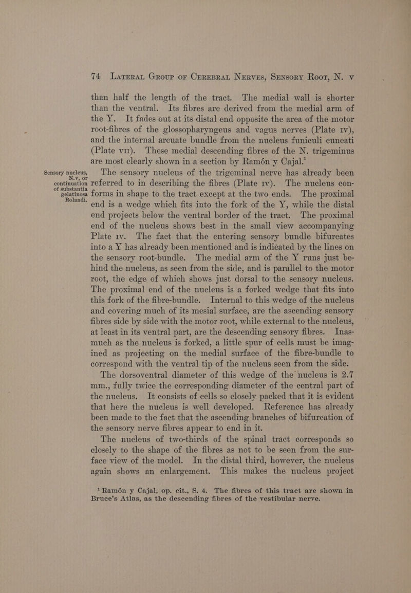 Sensory nucleus, N.v, or continuation of substantia gelatinosa Rolandi. 74 Larerat Group or Crresprat Nerves, Sensory Root, N. v than half the length of the tract. The medial wall is shorter than the ventral. Its fibres are derived from the medial arm of the Y. It fades out at its distal end opposite the area of the motor root-fibres of the glossopharyngeus and vagus nerves (Plate tv), and the internal arcuate bundle from the nucleus funiculi cuneati (Plate viz). These medial descending fibres of the N. trigeminus are most clearly shown in a section by Ramén y Cajal.’ The sensory nucleus of the trigeminal nerve has already been referred to in describing the fibres (Plate 1v). The nucleus con- forms in shape to the tract except at the two ends. The proximal end is a wedge which fits into the fork of the Y, while the distal end projects below the ventral border of the tract. The proximal end of the nucleus shows best in the small view accompanying Plate 1v. The fact that the entering sensory bundle bifurcates into a Y has already been mentioned and is indicated by the lines on the sensory root-bundle. The medial arm of the Y runs just be- hind the nucleus, as seen from the side, and is parallel to the motor root, the edge of which shows just dorsal to the sensory nucleus. The proximal end of the nucleus is a forked wedge that fits into this fork of the fibre-bundle. Internal to this wedge of the nucleus and covering much of its mesial surface, are the ascending sensory fibres side by side with the motor root, while external to the nucleus, at least in its ventral part, are the descending sensory fibres. Inas- much as the nucleus is forked, a little spur of cells must be imag- ined as projecting on the medial surface of the fibre-bundle to correspond with the ventral tip of the nucleus seen from the side. The dorsoventral diameter of this wedge of the nucleus is 2.7 mm., fully twice the corresponding diameter of the central part of the nucleus. It consists of cells so closely packed that it is evident that here the nucleus is well developed. Reference has already been made to the fact that the ascending branches of bifurcation of the sensory nerve fibres appear to end in it. The nucleus of two-thirds of the spinal tract corresponds so closely to the shape of the fibres as not to be seen from the sur- face view of the model. In the distal third, however, the nucleus again shows an enlargement. This makes the nucleus project *Ramon y Cajal, op. cit., S. 4. The fibres of this tract are shown in Bruce’s Atlas, as the descending fibres of the vestibular nerve.