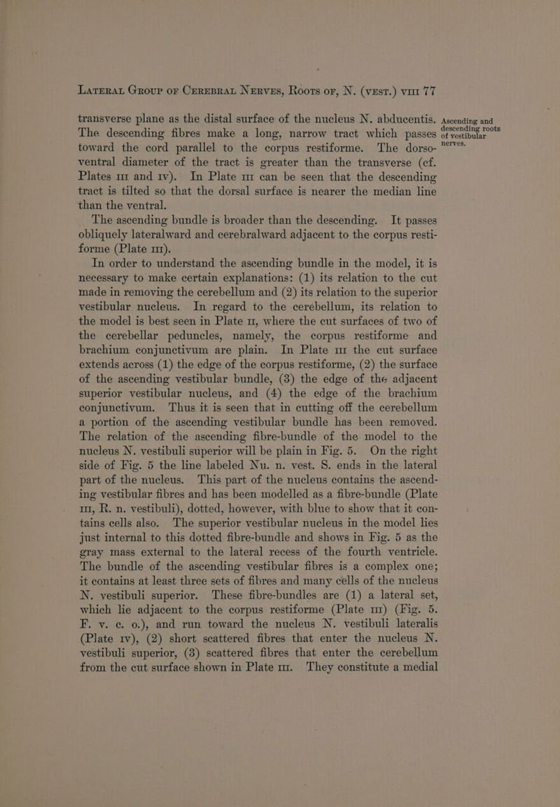 escending roots f vestibular ventral diameter of the tract is greater than the transverse (cf. Plates uz and 1v).. In Plate mr can be seen that the descending tract is tilted so that the dorsal surface is nearer the median line than the ventral. _ The ascending bundle is broader than the descending. It passes obliquely lateralward and cerebralward adjacent to the corpus resti- forme (Plate mt). In order to understand the ascending bundle in the model, it is necessary to make certain explanations: (1) its relation to the cut made in removing the cerebellum and (2) its relation to the superior vestibular nucleus. In regard to the cerebellum, its relation to the model is best seen in Plate 11, where the cut surfaces of two of the cerebellar peduncles, namely, the corpus restiforme and brachium conjunctivum are plain. In Plate mi the cut surface extends across (1) the edge of the corpus restiforme, (2) the surface of the ascending vestibular bundle, (38) the edge of the adjacent superior vestibular nucleus, and (4) the edge of the brachium conjunctivum. Thus it is seen that in cutting off the cerebellum a portion of the ascending vestibular bundle has been removed. The relation of the ascending fibre-bundle of the model to the nucleus N. vestibuli superior will be plain in Fig. 5. On the right side of Fig. 5 the line labeled Nu. n. vest. S. ends in the lateral part of the nucleus. This part of the nucleus contains the ascend- ing vestibular fibres and has been modelled as a fibre-bundle (Plate mr, R. n. vestibuli), dotted, however, with blue to show that it con- tains cells also. The superior vestibular nucleus in the model lies just internal to this dotted fibre-bundle and shows in Fig. 5 as the gray mass external to the lateral recess of the fourth ventricle. The bundle of the ascending vestibular fibres is a complex one; it contains at least three sets of fibres and many cells of the nucleus N. vestibuli superior. These fibre-bundles are (1) a lateral set, which lie adjacent to the corpus restiforme (Plate mr) (Hig. 5. F. v. ¢. 0.), and run toward the nucleus N. vestibuli lateralis (Plate 1v), (2) short scattered fibres that enter the nucleus N. vestibuli superior, (3) scattered fibres that enter the cerebellum from the cut surface shown in Plate mz. They constitute a medial
