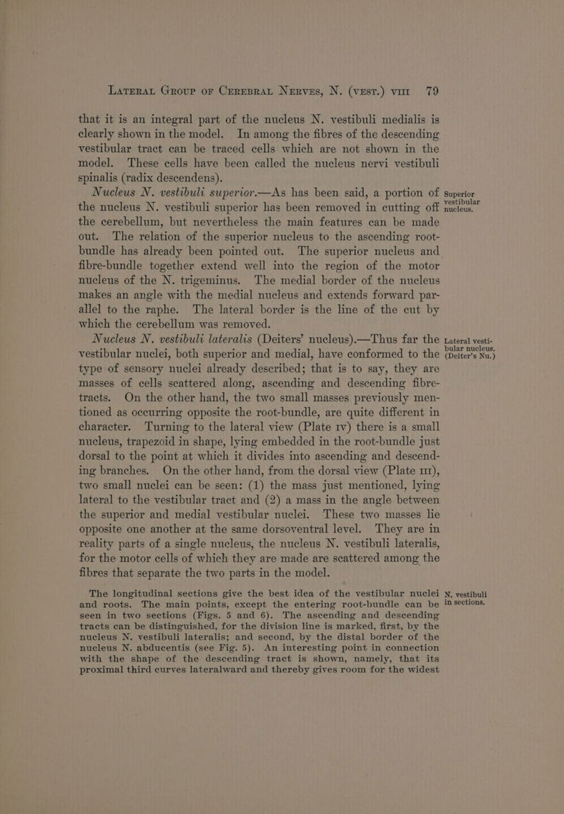 that it is an integral part of the nucleus N. vestibuli medialis is clearly shown in the model. In among the fibres of the descending vestibular tract can be traced cells which are not shown in the model. These cells have been called the nucleus nervi vestibuli spinalis (radix descendens). Nucleus N. vestibuli superior.—As has been said, a portion of the nucleus N. vestibuli superior has been removed in cutting off the cerebellum, but nevertheless the main features can be made out. The relation of the superior nucleus to the ascending root- bundle has already been pointed out. The superior nucleus and fibre-bundle together extend well into the region of the motor nucleus of the N. trigeminus. The medial border of the nucleus makes an angle with the medial nucleus and extends forward par- allel to the raphe. The lateral border is the line of the cut by which the cerebellum was removed. Nucleus N. vestibuli lateralis (Deiters’ nucleus).—Thus far the vestibular nuclei, both superior and medial, have conformed to the type of sensory nuclei already described; that is to say, they are masses of cells scattered along, ascending and descending fibre- tracts. On the other hand, the two small masses previously men- tioned as occurring opposite the root-bundle, are quite different in character. Turning to the lateral view (Plate 1v) there is a small nucleus, trapezoid in shape, lying embedded in the root-bundle just dorsal to the point at which it divides into ascending and descend- ing branches. On the other hand, from the dorsal view (Plate m1), two small nuclei can be seen: (1) the mass just mentioned, lying lateral to the vestibular tract and (2) a mass in the angle between the superior and medial vestibular nuclei. These two masses lie opposite one another at the same dorsoventral level. They are in reality parts of a single nucleus, the nucleus N. vestibuli lateralis, for the motor cells of which they are made are scattered among the fibres that separate the two parts in the model. The longitudinal sections give the best idea of the vestibular nuclei and roots. The main points, except the entering root-bundle can be seen in two sections (Figs. 5 and 6). The ascending and descending tracts can be distinguished, for the division line is marked, first, by the nucleus N. vestibuli lateralis; and second, by the distal border of the nucleus N. abducentis (see Fig. 5). An interesting point in connection with the shape of the descending tract is shown, namely, that its proximal third curves lateralward and thereby gives room for the widest Superior vestibular nucleus. Lateral vesti- bular nucleus, (Deiter’s Nu.) N. vestibuli in sections.