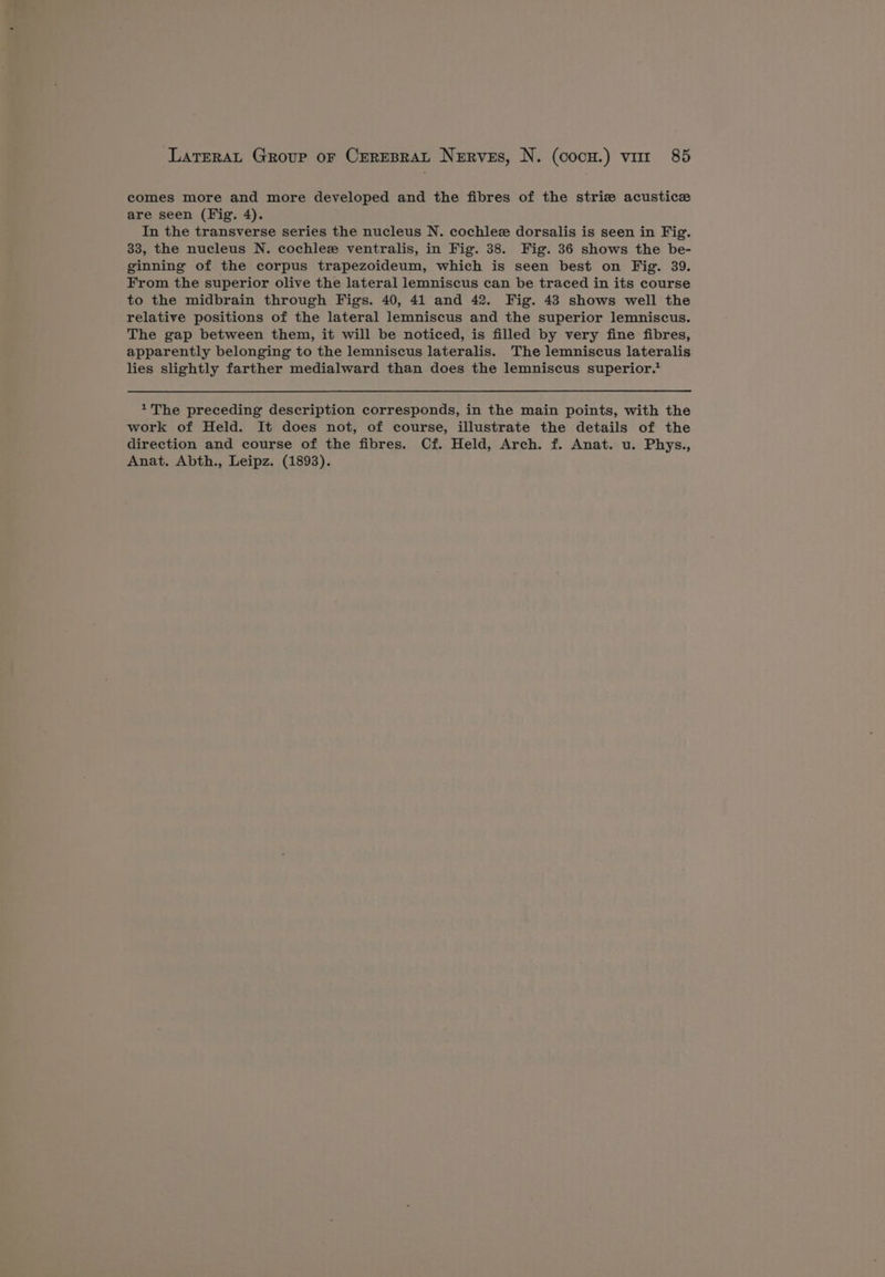 comes more and more developed and the fibres of the striz acusticz are seen (Fig. 4). In the transverse series the nucleus N. cochlez dorsalis is seen in Fig. 33, the nucleus N. cochlez ventralis, in Fig. 38. Fig. 36 shows the be- ginning of the corpus trapezoideum, which is seen best on Fig. 39. From the superior olive the lateral lemniscus can be traced in its course to the midbrain through Figs. 40, 41 and 42. Fig. 43 shows well the relative positions of the lateral lemniscus and the superior lemniscus. The gap between them, it will be noticed, is filled by very fine fibres, apparently belonging to the lemniscus lateralis. The lemniscus lateralis lies slightly farther medialward than does the lemniscus superior.* 1The preceding description corresponds, in the main points, with the work of Held. It does not, of course, illustrate the details of the direction and course of the fibres. Cf. Held, Arch. f. Anat. u. Phys., Anat. Abth., Leipz. (1893).