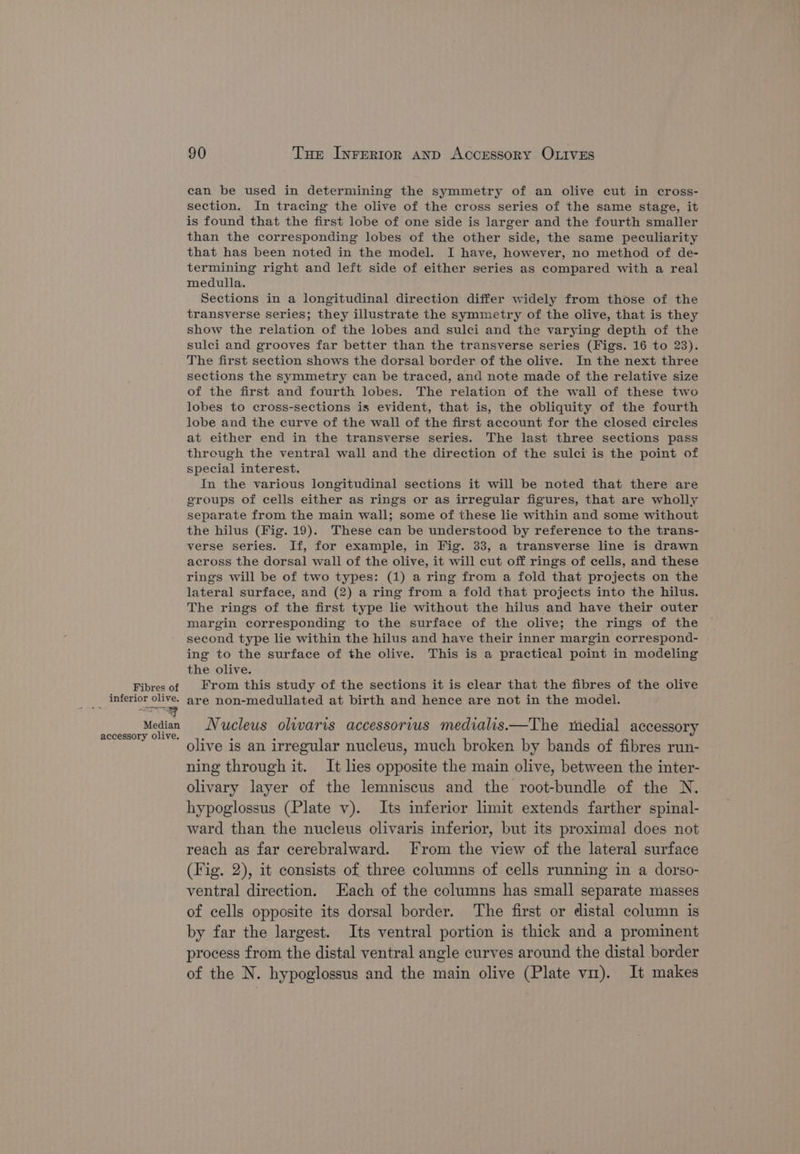 Fibres of inferior olive. Median accessory olive. 90 Tue Inrertior anp Accessory OLIVES can be used in determining the symmetry of an olive cut in cross- section. In tracing the olive of the cross series of the same stage, it is found that the first lobe of one side is larger and the fourth smaller than the corresponding lobes of the other side, the same peculiarity that has been noted in the model. I have, however, no method of de- termining right and left side of either series as compared with a real medulla. Sections in a longitudinal direction differ widely from those of the transverse series; they illustrate the symmetry of the olive, that is they show the relation of the lobes and sulci and the varying depth of the sulci and grooves far better than the transverse series (Figs. 16 to 23). The first section shows the dorsal border of the olive. In the next three sections the symmetry can be traced, and note made of the relative size of the first and fourth lobes. The relation of the wall of these two lobes to cross-sections is evident, that is, the obliquity of the fourth lobe and the curve of the wall of the first account for the closed circles at either end in the transverse series. The last three sections pass through the ventral wall and the direction of the sulci is the point of special interest. In the various longitudinal sections it will be noted that there are groups of cells either as rings or as irregular figures, that are wholly separate from the main wall; some of these lie within and some without the hilus (Fig. 19). These can be understood by reference to the trans- verse series. If, for example, in Fig. 33, a transverse line is drawn across the dorsal wall of the olive, it will cut off rings of cells, and these rings will be of two types: (1) a ring from a fold that projects on the lateral surface, and (2) a ring from a fold that projects into the hilus. The rings of the first type lie without the hilus and have their outer margin corresponding to the surface of the olive; the rings of the second type lie within the hilus and have their inner margin correspond- ing to the surface of the olive. This is a practical point in modeling the olive. From this study of the sections it is clear that the fibres of the olive are non-medullated at birth and hence are not in the model. Nucleus olwwaris accessorius medialis—The medial accessory olive is an irregular nucleus, much broken by bands of fibres run- ning through it. It lies opposite the main olive, between the inter- olivary layer of the lemniscus and the root-bundle of the N. hypoglossus (Plate v). Its inferior limit extends farther spinal- ward than the nucleus olivaris inferior, but its proximal does not reach as far cerebralward. From the view of the lateral surface (Fig. 2), it consists of three columns of cells running in a dorso- ventral direction. Each of the columns has small separate masses of cells opposite its dorsal border. The first or distal column is by far the largest. Its ventral portion is thick and a prominent process from the distal ventral angle curves around the distal border of the N. hypoglossus and the main olive (Plate vm). It makes