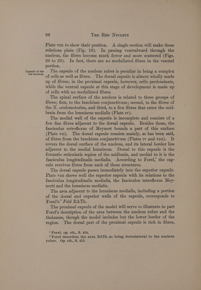 Plate vii to show their position. A single section will make these relations plain (Fig. 19). In passing ventralward through the nucleus, the fibres become much fewer and more scattered (Figs. 20 to 23). In fact, there are no medullated fibres in the ventral portion. Capsule of the The capsule of the nucleus ruber is peculiar in being a complex  of cells as well as fibres. The dorsal capsule is almost wholly made up of fibres; in the proximal capsule, however, cells predominate, while the ventral capsule at this stage of development is made up of cells with no medullated fibres. The spinal surface of the nucleus is related to three groups of fibres; first, to the brachium conjunctivum; second, to the fibres of the N. oculomotorius, and third, to a few fibres that enter the mid- brain from the lemniscus medialis (Plate rv). The medial wall of the capsule is incomplete and consists of a few fine fibres adjacent to the dorsal capsule. JBesides these, the fasciculus retroflexus of Meynert bounds a part of this surface (Plate vir). The dorsal capsule consists mainly, as has been said, of fibres from the brachium conjunctivum (Plates 1v and vu). It covers the dorsal surface of the nucleus, and its lateral border lies adjacent to the medial lemniscus. Dorsal to this capsule is the formatio reticularis region of the midbrain, and medial to it is the fasciculus longitudinalis medialis. According to Forel, the cap- sule receives fibres from each of these structures. The dorsal capsule passes immediately into the superior capsule. Plate vu shows well the superior capsule with its relations to the fasciculus longitudinalis medialis, the fasciculus retroflexus Mey- nerti and the lemniscus medialis. The area adjacent to the lemniscus medialis, including a portion of the dorsal and superior walls of the capsule, corresponds to Forel’s* Feld BATh. The proximal capsule of the model will serve to illustrate in part Forel’s description of the area between the nucleus ruber and the thalamus, though the model includes but the lower border of the region. The dorsal part of the proximal capsule is rich in fibres, Forel, op. cit., S. 424. * Forel describes the area BATh as being dorsolateral to the nucleus ruber. Op. cit., S. 415.