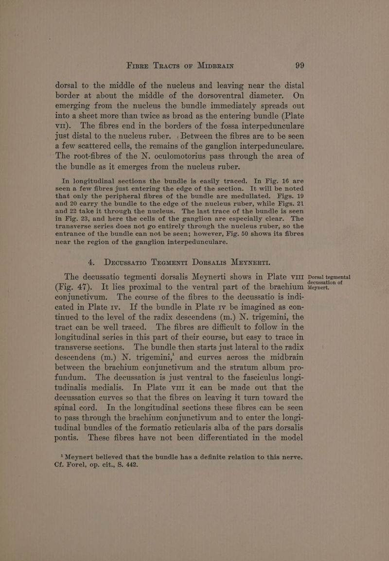 dorsal to the middle of the nucleus and leaving near the distal border at about the middle of the dorsoventral diameter. On emerging from the nucleus the bundle immediately spreads out into a sheet more than twice as broad as the entering bundle (Plate vit). The fibres end in the borders of the fossa interpedunculare just distal to the nucleus ruber. . Between the fibres are to be seen a few scattered cells, the remains of the ganglion interpedunculare. The root-fibres of the N. oculomotorius pass through the area of the bundle as it emerges from the nucleus ruber. In longitudinal sections the bundle is easily traced. In Fig. 16 are seen a few fibres just entering the edge of the section. It will be noted that only the peripheral fibres of the bundle are medullated. Figs. 19 and 20 carry the bundle to the edge of the nucleus ruber, while Figs. 21 and 22 take it through the nucleus. The last trace of the bundle is seen in Fig. 23, and here the cells of the ganglion are especially clear. The transverse series does not go entirely through the nucleus ruber, so the entrance of the bundle can not be seen; however, Fig. 50 shows its fibres near the region of the ganglion interpedunculare. 4. Deoussatio Tramentr Dorsatis MByYnertrt. The decussatio tegmenti dorsalis Meynerti shows in Plate vu (Fig. 47). It les proximal to the ventral part of the brachium conjunctivum. The course of the fibres to the decussatio is indi- cated in Plate 1v. If the bundle in Plate 1v be imagined as con- tinued to the level of the radix descendens (m.) N. trigemini, the tract can be well traced. The fibres are difficult to follow in the longitudinal series in this part of their course, but easy to trace in transverse sections. The bundle then starts just lateral to the radix descendens (m.) N. trigemini, and curves across the midbrain between the brachium conjunctivum and the stratum album pro- fundum. The decussation is just ventral to the fasciculus longi- tudinalis medialis. In Plate vim it can be made out that the decussation curves so that the fibres on leaving it turn toward the spinal cord. In the longitudinal sections these fibres can be seen to pass through the brachium conjunctivum and to enter the longi- tudinal bundles of the formatio reticularis alba of the pars dorsalis pontis. These fibres have not been differentiated in the model *Meynert believed that the bundle has a definite relation to this nerve. Cf. Forel, op. cit., S. 442. Dorsal tegmental decussation of Meynert,