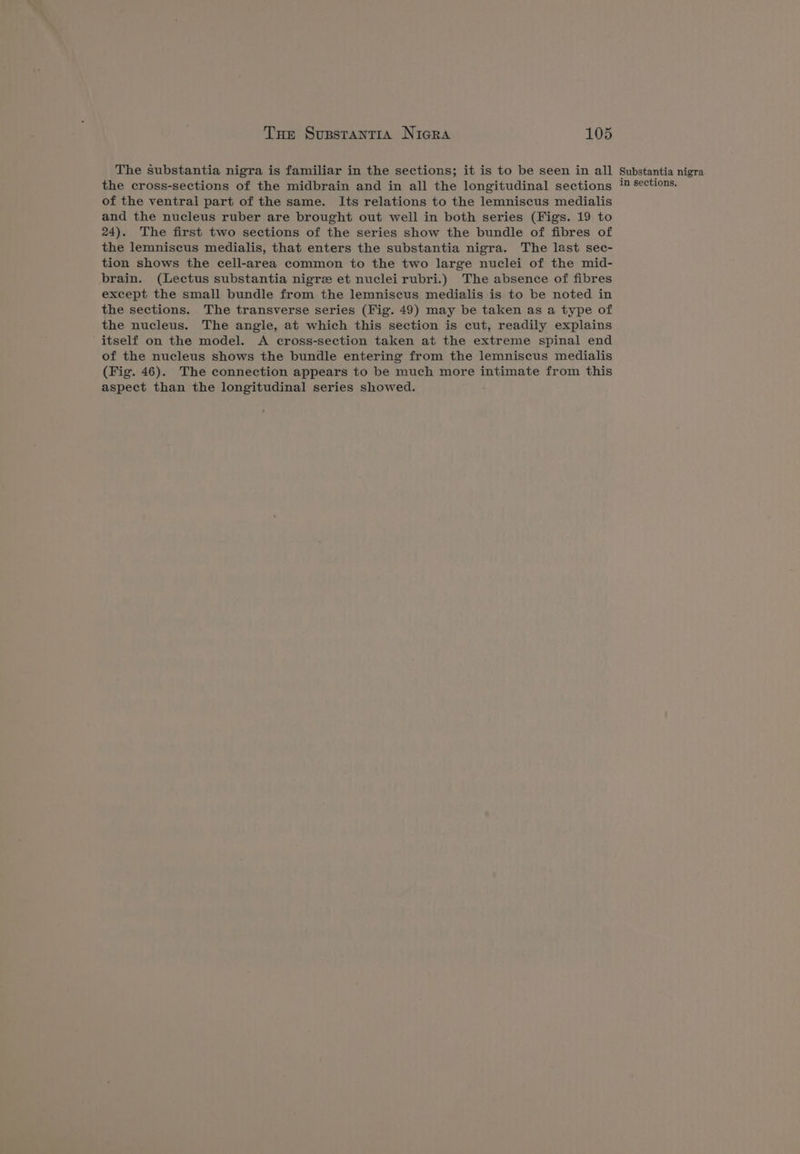 The substantia nigra is familiar in the sections; it is to be seen in all Substantia nigra the cross-sections of the midbrain and in all the longitudinal sections i s¢¢tions. of the ventral part of the same. Its relations to the lemniscus medialis and the nucleus ruber are brought out well in both series (Figs. 19 to 24). The first two sections of the series show the bundle of fibres of the lemniscus medialis, that enters the substantia nigra. The last sec- tion shows the cell-area common to the two large nuclei of the mid- brain. (Lectus substantia nigre et nucleirubri.) The absence of fibres except the small bundle from the lemniscus medialis is to be noted in the sections. The transverse series (Fig. 49) may be taken as a type of the nucleus. The angle, at which this section is cut, readily explains itself on the model. A cross-section taken at the extreme spinal end of the nucleus shows the bundle entering from the lemniscus medialis (Fig. 46). The connection appears to be much more intimate from this aspect than the longitudinal series showed.