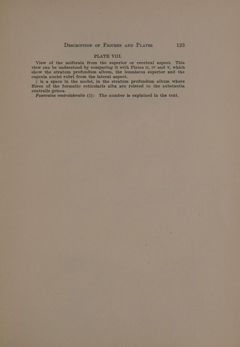 PLATE VIII. View of the midbrain from the superior or cerebral aspect. This view can be understood by comparing it with Plates 11, Iv and v, which show the stratum profundum album, the lemniscus superior. and the capsula nuclei rubri from the lateral aspect. y is a space in the model, in the stratum profundum album where fibres of the formatio reticularis alba are related to the substantia centralis grisea. _ Fasciculus ventrolateralis (1): The number is explained in the text.