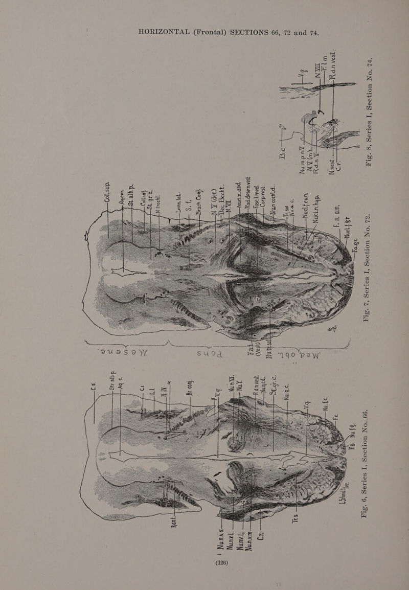 4$} ny, “Und ‘B ‘| ‘dhy won uno} pny ‘2 ONN 0s ‘ay: pyyI09 UT “ySo4-'di0)— 4 pays Pan wasep pyy ‘pqp won Hae \ IAN-¥, . PP (1. (9p) A N . yo) Ny ‘ob 4 funy) dgye’ ~aoabyy dns'\jo) Ly £4 a tnece eatneaaieaaonens i ‘99 “ON WOT} ‘T sotaeg ‘9 “Shy SIM $4 “pup 4)