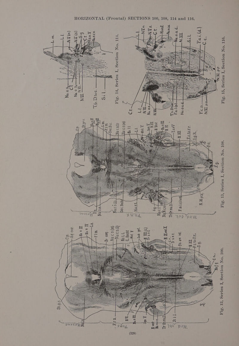‘OTT “ON WOTIOVG ‘T SoLtag ‘CT “SIT ‘80T ‘ON WOTJOAG ‘T Solseg ‘eT “SLT ‘O0L “ON UWOTIIAG ‘JT SoTLeg ‘ep “SLT Fiery J h fn PFA i FE &amp; = Ss a: f 18>. (ray ay, a TH pon A tag : mnt wwoeg 9 42 IAN | -y Tiny ss ‘FIT ‘ON WOTJOog {J SoLteg “FL “OM (1)'S.9 NN Hy bos has F NTUTN moLO as Kus as (sy 's'0 DN i 9 S (w) J Som IS a »