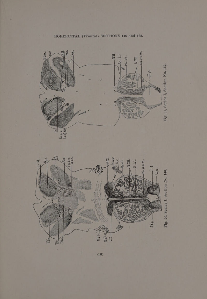 Fig. 21, Series I, Section No. 162,