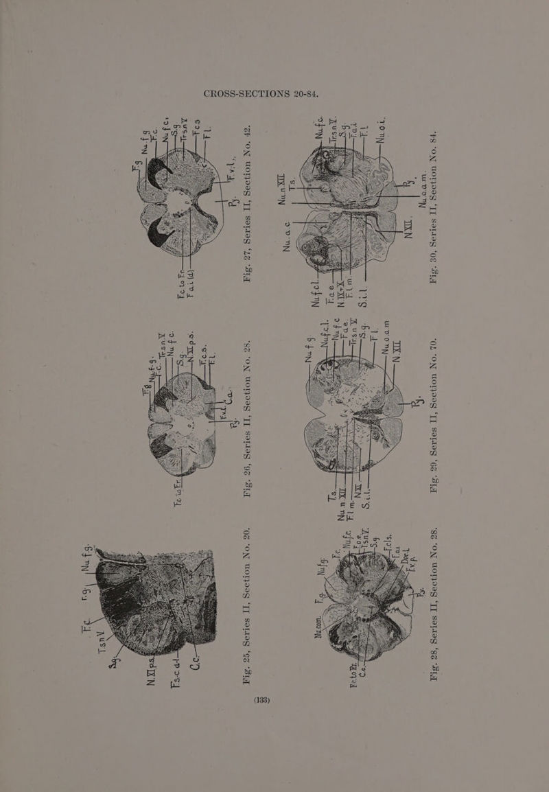 oaks TKN. 8% “ON WOTJIIG “TT SeTteg ‘9g “SLT 0S “ON WOTPIIG “TI Solteg ‘eg “SLT (P) YOY ee age.