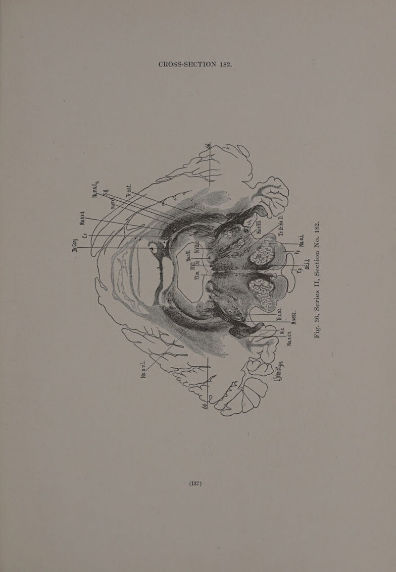 EST ‘ON WOT} ‘TT Setteg ‘9g “ShT TNs ronn a dy “Ysan' vagy NIUNY oN qs, fuog ag pm
