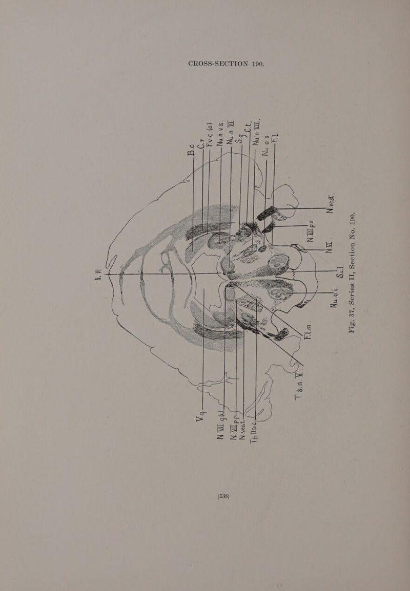 ‘06T “ON WOTJOagG “TI Serseg ‘yg 19. ara