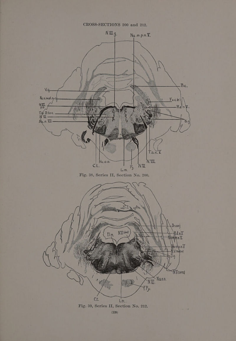 wi | ye y =a vi Ss ies