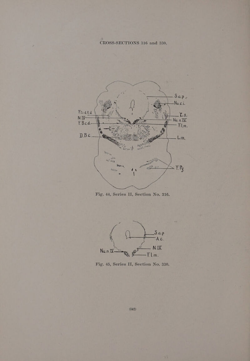 Fig. 45, Series IT, Section No. 330.