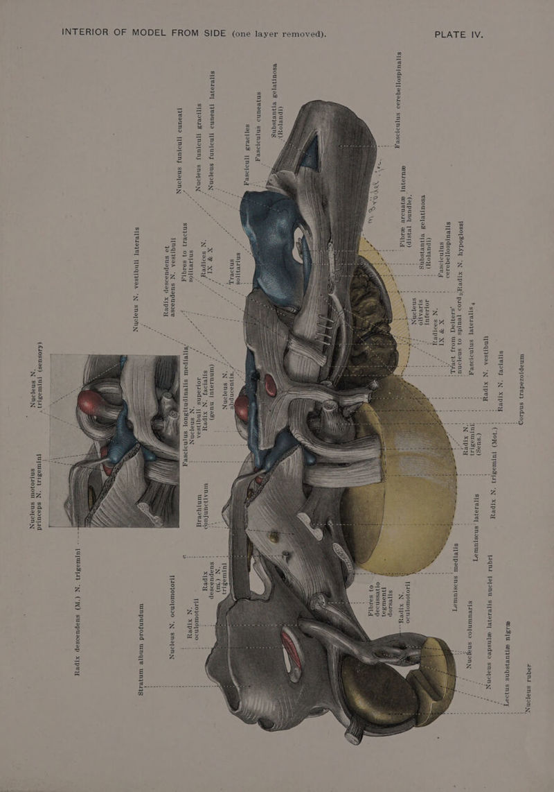 4aqnd snajony unaplozede1} sndi0g GiZ{U eijuvjsqns snjooay S[BlOVy “N xXIpey (70W) FopULe S127 N Xpeu Nqnt yafonu s{[eseye] wnsdeo snajony | TINGISeA “N XIpey (suas) SI[P19}e[ Shostumary : ‘ Fsteioye] SNMOPOSeA oearee: sjivuumnjoo snajonn =| Isso[3oday -N x1pey!epaooa yeurds 0} snajonu} SIO Woy WRAL! S{[BIpaw snostuumary a ae S1/eurdsol[aqasaa ' ine hy snpnopsey t Xie eee . ye) SNGEOOTDEN, i &amp; (rpurjoy) | } do [ayur Ae Is TSOULB[VS VIJURISqNS ' SLIBALO ity a ee ' snajonn ty ot _(aTpunq [eystp) re at ‘ {J10}0UL0TNI0 BUIIUL yenoiw waqiyy i N XIDUY---4 S][Vuldso[[aqasaa snnoroseg sI[esaop uew3e} oljessnoep 0} Salqi ’ ' , ‘ (1purjoy).” esoulejas vnurisqng ; sn}esuno sn[nowsrgq : saljowas TpNoposey “ snqaeyTos pe fe Me, / snyorwin / + i / ‘Styuaonpge te ay Seeiins ! _7¢ ON sneponn ' 1 yu eles ee a ak ] ey (wnute}uT Nuss) Ms suspudosep : S][@1eze[ [JBeuNod [Nouns snopony ‘ 2 X @ XI fy ! te SMOHT We IRE uinatjountuda XIPeY : stjowrs yMoyuny sneponN |” por phe ee aaa Papa eile ee ey eA pe ec ae A ces ae ‘SI[BIpouT st Bul Rene anraaieee 4h ae ' / SN}OB1} 0} SaIqIy  /SHBlpoul STTVUurpnyt T Sn(noposey % ; ‘ 1}BeuNd T]NoIUNy snejon } Soe ae ’ = EP . : cs : ca IINq!}seA N Suapusose / T]IOJOUIO]NDO “N snaponN je SUapUsoSep XIpey i , wnpunjoid unqye winye.ig S][@19}¥B] INGISeA “N sneponN ---- JUfWS3[.1} N (J) SUapUsoSep xIpeyY