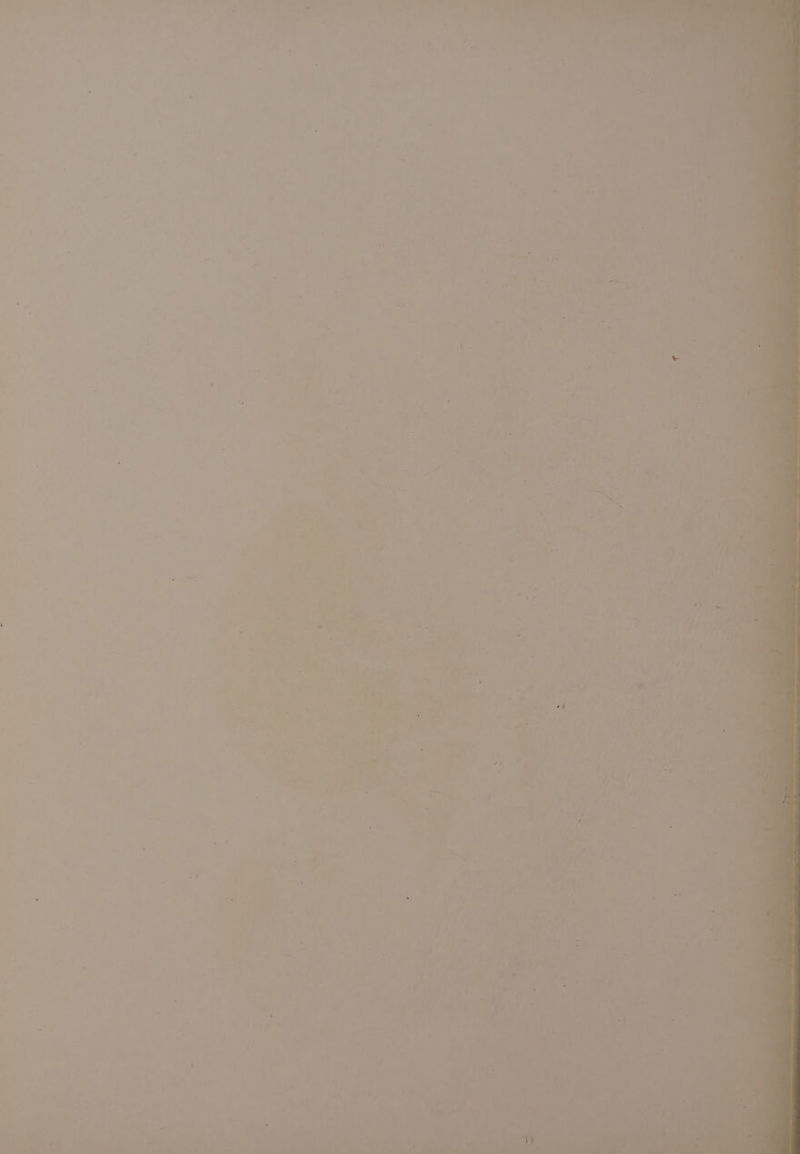 F Lf a « 2 e* , é ia gf , F ; J A . : . 3 ~4 : . hl 2 4 7 ee) a « z 4 . As 4 . ‘ hy * ‘ . ‘ ; 4 : 7 . P Jie “4 A , ra ; 5 et ay hs ip PS oe ‘ - A a4 . . =F ae » oy. ‘ ° sd eT, a . 3 . ye rit: C!S ire os *\ - My > 5 Fito < asle N : ie ori Ties Ae a et eens ka ie ae Y age ee hia Pes glad Wer Sa ‘ mh) . Das 6 bes ave : igen! t)~-che eeaee f ae Oe otro eee Fy a eras A,