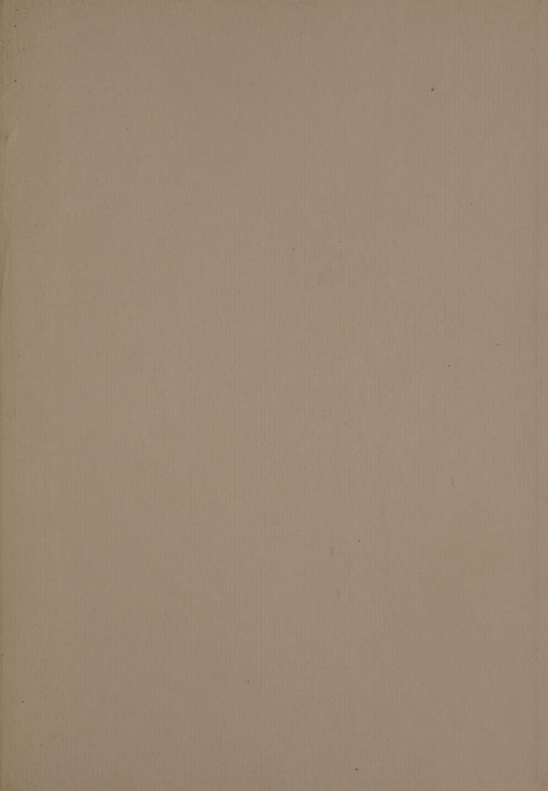 a ew a ed a | em —— “ <_< =P —— - iad nz ~ a =, ata gt opm Vs ie « aie J ~~ a ~ > ee eee va a “4 . oe ° ° : “ * * - ae ee pe eet ot ge abn And - ad ae ‘ 4 neal ° - , a ~ gly J 2 = - 2) Mie ges ng en ee Ie e-2) ey ’ a4 “+p : —_. E Ke te ee vo ay Pmaenn > 4 £ 4 y ap . to] da - FO Ht . : SOE? gs Pe ca sles - ~ we ~~ ane . Con _ ee ro , : Fadia Rien w . a « “ ; * fae So > -~T-- a ot TP 7 et cael aia to —— es