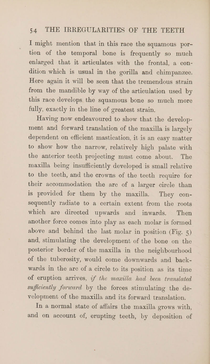 I might mention that in this race the squamous por- tion of the temporal bone is frequently so much enlarged that it articulates with the frontal, a con- dition which is usual in the gorilla and chimpanzee. Here again it will be seen that the tremendous strain from the mandible by way of the articulation used by this race develops the squamous bone so much more fully, exactly in the line of greatest strain. Having now endeavoured to show that the develop- ment and forward translation of the maxilla is largely dependent on efficient mastication, it is an easy matter to show how the narrow, relatively high palate with the anterior teeth projecting must come about. The maxilla being insufficiently developed is small relative to the teeth, and the crowns of the teeth require for their accommodation the are of a larger circle than is provided for them by the maxilla. They con- sequently radiate to a certain extent from the roots which are directed upwards and inwards. Then another force comes into play as each molar is formed above and behind the last molar in position (Fig. 5) and, stimulating the development of the bone on the posterior border of the maxilla in the neighbourhood of the tuberosity, would come downwards and back- wards in the arc of a circle to its position as its time of eruption arrives, if the mamilla had been translated sufficiently forward by the forces stimulating the de- velopment of the maxilla and its forward translation. In a normal state of affairs the maxilla grows with, and on account of, erupting teeth, by deposition of