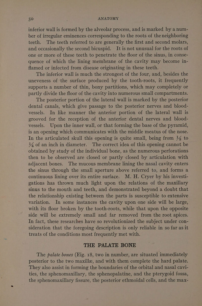 inferior wall is formed by the alveolar process, and is marked by a num- ber of irregular eminences corresponding to the roots of the neighboring teeth. The teeth referred to are generally the first and second molars, and occasionally the second bicuspid. It is not unusual for the roots of one or more of these teeth to penetrate the floor of the sinus, in conse- quence of which the lining membrane of the cavity may become in- flamed or infected from disease originating in these teeth. The inferior wall is much the strongest of the four, and, besides the uneveness of the surface produced by the tooth-roots, it frequently supports a number of thin, bony partitions, which may completely or partly divide the floor of the cavity into numerous small compartments. The posterior portion of the lateral wall is marked by the posterior dental canals, which give passage to the posterior nerves and blood- vessels. In like manner the anterior portion of the lateral wall is grooved for the reception of the anterior dental nerves and blood- vessels. Upon the inner wall, or that forming the base of the pyramid, is an opening which communicates with the middle meatus of the nose. In the articulated skull this opening is quite small, being from }¢ to 14 of an inch in diameter. The correct idea of this opening cannot be obtained by study of the individual bone, as the numerous perforations then to be observed are closed or partly closed by articulation with adjacent bones. The mucous membrane lining the nasal cavity enters the sinus through the small aperture above referred to, and forms a continuous lining over its entire surface. M. H. Cryer by his investi- gations has thrown much light upon the relations of the maxillary sinus to the mouth and teeth, and demonstrated beyond a doubt that the relationship existing between the parts is susceptible to extensive variation. In some instances the cavity upon one side will be large, with its floor broken by the tooth-roots, while that upon the opposite side will be extremely small and far removed from the root apices. In fact, these researches have so revolutionized the subject under con- sideration that the foregoing description is only reliable in so far as it treats of the conditions most frequently met with. THE PALATE BONE The palate bones (Fig. 18, two in number, are situated immediately posterior to the two maxille, and with them complete the hard palate. They also assist in forming the boundaries of the orbital and nasal cavi- ties, the sphenomaxillary, the sphenopalatine, and the pterygoid fossa, the sphenomaxillary fissure, the posterior ethmoidal cells, and the max-