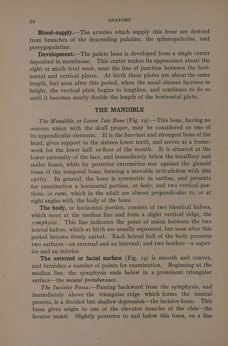Blood-supply.—The arteries which supply this bone are derived from branches of the descending palatine, the sphenopalatine, and pterygopalatine. Development.—The palate bone is developed from a single center deposited in membrane. This center makes its appearance about the eight or ninth fetal week, near the line of junction between the hori- zontal and vertical plates. At birth these plates are about the same length, but soon after this period, when the nasal sinuses increase in height, the vertical plate begins to lengthen, and continues to do so until it becomes nearly double the length of the horizontal plate. THE MANDIBLE The Mandible, or Lower Jaw Bone (Fig. 19).—This bone, having no &gt; osseous union with the skull. proper, may be considered as one of its appendicular elements. It is the heaviest and strongest bone of the head, gives support to the sixteen lower teeth, and serves as a frame- work for the lower half or floor of the mouth. It is situated at the lower extremity of the face, and immediately below the maxillary and malar bones, while its posterior extremities rest against the glenoid — fossa of the temporal bone, forming a movable articulation with this cavity. In general, the bone is symmetric in outline, and presents for examination a horizontal portion, or body, and two vertical por- tions, or rami, which in the adult are almost perpendicular to, or at right angles with, the body of the bone. The body, or horizontal portion, consists of two identical halves, which meet at the median line and form a slight vertical ridge, the symphysis. This line indicates the point of union between the two lateral halves, which at birth are usually separated, but soon after this period become firmly united. Each lateral half of the body presents two surfaces—an external and an internal; and two borders—a super- ior and an inferior. The external or facial surface (Fig. 19) is smooth and convex, and furnishes a number of points for examination. Beginning at the median line, the symphysis ends below in a prominent triangular . surface—the mental protuberance. The Incisive Fossa—Passing backward from the symphysis, and immediately above the triangular ridge which forms the mental process, is a decided but shallow depression—the incisive fossa. This fossa gives origin to one of the elevator muscles of the chin—the levator menti. Slightly posterior to and below this fossa, on a line