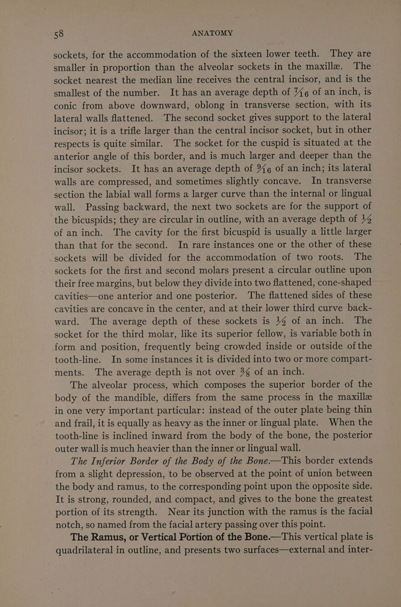 sockets, for the accommodation of the sixteen lower teeth. They are smaller in proportion than the alveolar sockets in the maxilla. The socket nearest the median line receives the central incisor, and is the smallest of the number. It has an average depth of %@ of an inch, is conic from above downward, oblong in transverse section, with its lateral walls flattened. ‘The second socket gives support to the lateral incisor; it is a trifle larger than the central incisor socket, but in other respects is quite similar. The socket for the cuspid is situated at the anterior angle of this border, and is much larger and deeper than the incisor sockets. It has an average depth of %6@ of an inch; its lateral walls are compressed, and sometimes slightly concave. In transverse section the labial wall forms a larger curve than the internal or lingual wall. Passing backward, the next two sockets are for the support of ‘the bicuspids; they are circular in outline, with an average depth of 14 of an inch. The cavity for the first bicuspid is usually a little larger than that for the second. In rare instances one or the other of these sockets will be divided for the accommodation of two roots. The sockets for the first and second molars present a circular outline upon their free margins, but below they divide into two flattened, cone-shaped cavities—one anterior and one posterior. The flattened sides of these cavities are concave in the center, and at their lower third curve back- ward. The average depth of these sockets is }4 of an inch. The socket for the third molar, like its superior fellow, is variable both in form and position, frequently being crowded inside or outside of the tooth-line. In some instances it is divided into two or more compart- ments. The average depth is not over 3g of an inch. The alveolar process, which composes the superior border of the body of the mandible, differs from the same process in the maxille in one very important particular: instead of the outer plate being thin and frail, it is equally as heavy as the inner or lingual plate. When the tooth-line is inclined inward from the body of the bone, the posterior outer wall is much heavier than the inner or lingual wall. The Inferior Border of the Body of the Bone——This border extends from a slight depression, to be observed at the point of union between the body and ramus, to the corresponding point upon the opposite side. It is strong, rounded, and compact, and gives to the bone the greatest portion of its strength. Near its junction with the ramus is the facial notch, so named from the facial artery passing over this point. The Ramus, or Vertical Portion of the Bone.—This vertical plate is quadrilateral in outline, and presents two surfaces—external and inter-