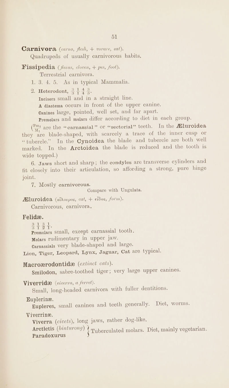 51 Carnivora (carno, flesh, + vorare, eat). Quadrupeds of usually carnivorous habits. Fissipedia ((jissws, cloven, + pes, foot). Terrestrial carnivora. 1. 3. 4. 5. As in typical Mammalia. 2. Heterodont, +} if 3, Incisors Small and in a straight line. A diastema occurs in front of the upper canine. Canines large, pointed, well set, and far apart. Premolars and molars differ according to diet in each group. (Se are the “carnassial” or “sectorial” teeth. In the Asluroidea they are blade-shaped, with scarcely a trace of the inner cusp or “tubercle.” In the Cynoidea the blade and tubercle are both well marked. In the Arctoidea the blade is reduced and the tooth is wide topped.) 6. Jaws short and sharp; the condyles are transverse cylinders and fit closely into their articulation, so affording a strong, pure hinge joint. 7. Mostly carnivorous. Compare with Ungulata. ABluroidea (aidoupos, cat, + eidos, fornr). Carnivorous, carnivora. Felide. sales pigtail Premolars small, except carnassial tooth. Molars rudimentary in upper jaw. Carnassials very blade-shaped and large. Lion, Tiger, Leopard, Lynx, Jaguar, Cat are typical. Macroerodontide (extinct cats). Smilodon, sabre-toothed tiger; very large upper canines. Viverrids (viverra, a ferret). Small, long-headed carnivora with fuller dentitions. EKuplerine. Eupleres, small canines and teeth generally. Duet, worms. Viverrine. Viverra (civets), long jaws, rather dog-like. Arctictis (bintwrong) Tuberculated molars. Diet, mainly vegetarian. Paradoxurus