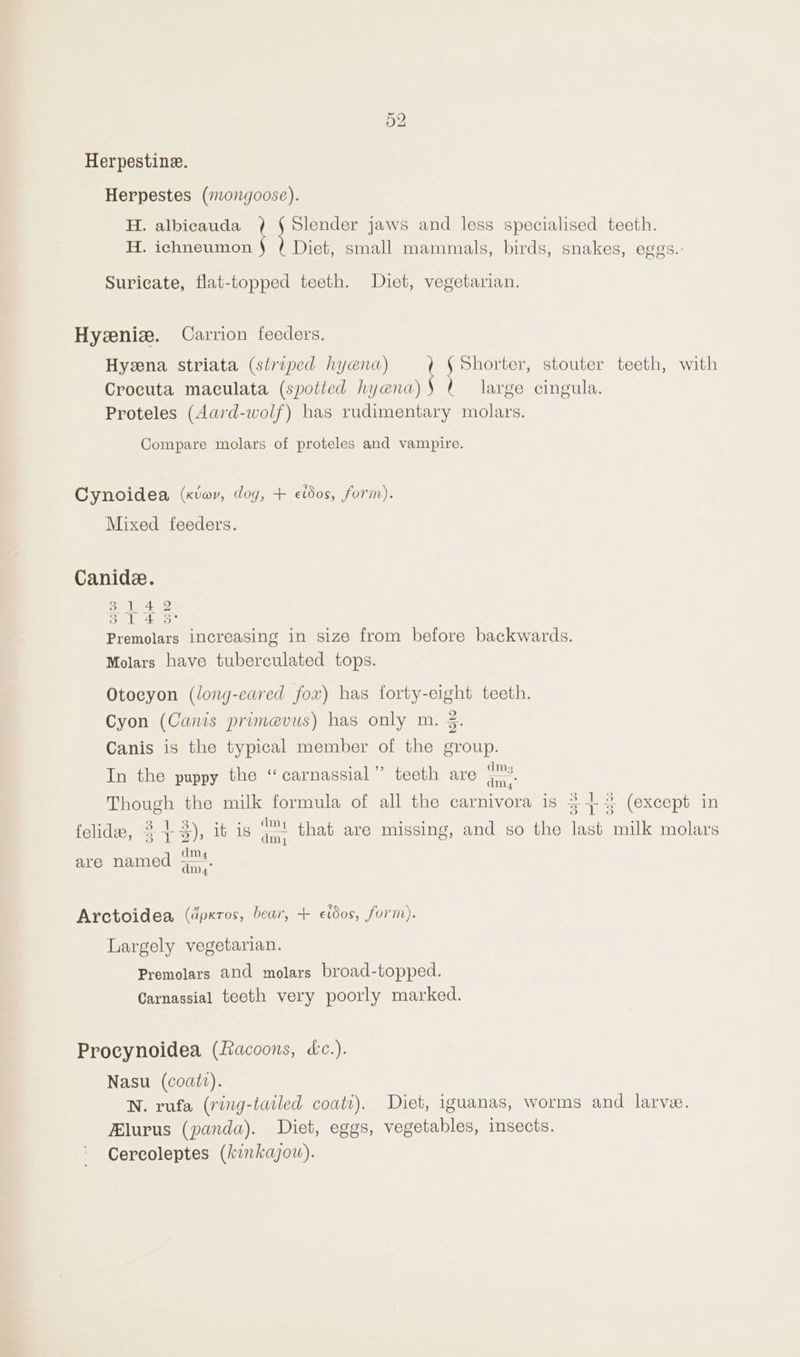 Herpestine. Herpestes (mongoose). H. albicauda ta See jaws and less specialised teeth. H. ichneumon Diet, small mammals, birds, snakes, eggs.: Suricate, flat-topped teeth. Diet, vegetarian. Hyeeniz. Carrion feeders. Hyeena striata (striped hyena) eee stouter teeth, with Crocuta maculata (spotted hyena) large cingula. Proteles (Aard-wolf) has rudimentary molars. Compare molars of proteles and vampire. Cynoidea (kvav, dog, + etdos, form). Mixed feeders. Canide. i ae Sebetas. Premolars increasing in size from before backwards. Molars have tuberculated tops. Otoeyon (long-eared fox) has forty-eight teeth. Cyon (Canis primevus) has only m. 3. Canis is the typical member of the group. rie m DO) ., dmMs In the puppy the ‘“carnassial”’ teeth are rere Though the milk formula of all the carnivora is 3+} (except in . oq, @ : oh dim4 ” Sains : 6 ade felide, 37%), ib is Q,, that are missing, and so the last milk molars dmy4 are named aay Arctoidea (dpxros, bear, + etdos, form). Largely vegetarian. Premolars and molars broad-topped. Carnassial teeth very poorly marked. Procynoidea (facoons, dc.). Nasu (coatt). N. rufa (ring-tailed coati). Diet, iguanas, worms and larve. lurus (panda). Diet, eggs, vegetables, insects. Cercoleptes (kinkajou).
