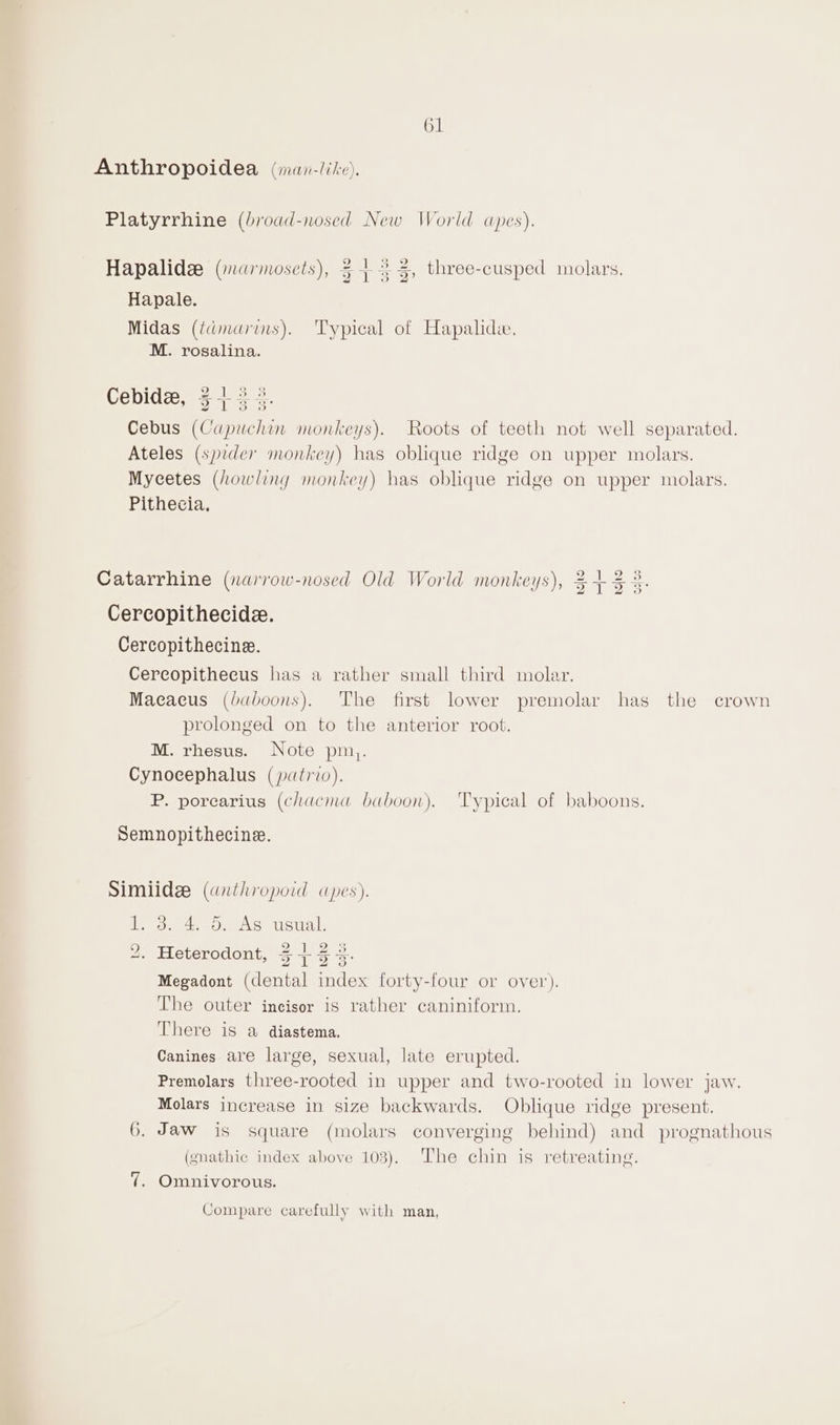 61 Anthropoidea (man-like). Platyrrhine (broad-nosed New World apes). Hapalidz (marmosets), 54 345, three-cusped molars. Hapale. Midas (tdmarins). Typical of Hapald., M. rosalina. Cebidee, $7 3 3. Cebus (Capuchin monkeys). Roots of teeth not well separated. Ateles (spzder monkey) has oblique ridge on upper molars. Mycetes (howling monkey) has oblique ridge on upper molars. Pithecia. Catarrhine (narrow-nosed Old World monkeys), 34-3 +. Cercopithecide. Cercopithecine. Cereopitheeus has a rather small third molar. Maeaeus (baboons). The first lower premolar has the crown prolonged on to the anterior root. M. rhesus. Note pm). Cynocephalus (patio). P. porearius (chacma baboon). Typical of baboons. Semnopithecine. Simiidge (anthropoid apes). Veo eae Ucualk 2. Heterodont, S+5% Megadont (dental index forty-four or over). The outer incisor is rather caniniform. There is a diastema. Canines are large, sexual, late erupted. Premolars three-rooted in upper and two-rooted in lower jaw. Molars increase in size backwards. Oblique ridge present. 6. Jaw is square (molars converging behind) and prognathous (gnathic index above 103), The chin is retreating. 7. Omnivorous. Compare carefully with man,