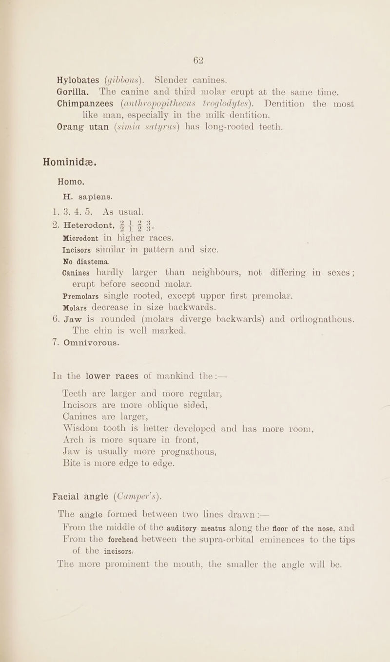 6: 4 Hylobates (gibbons). Slender canines. Gorilla. The canine and third molar erupt at the same time. Chimpanzees (anthropopithecus troglodytes). Dentition the like man, especially in the milk dentition. Orang utan (sia satyrus) has long-rooted teeth. most Homo. H. sapiens. &gt; 3 2 ) . Heterodont, 5 4+ 4 Microdont in higher races. Incisors Similar in pattern and size. No diastema. Canines hardly larger than neighbours, not differing in sexes; erupt before second molar. Premolars single rooted, except upper first premolar. Molars decrease in size backwards. . . . . The chin is well marked. Omnivorous. Teeth are larger and more regular, Incisors are more oblique sided, Canines are larger, Wisdom tooth is better developed and has more room, Arch is more square in front, Jaw is usually more prognathous, Bite is more edge to edge. From the middle of the auditory meatus along the floor of the nose, and rom the forehead between the supra-orbital eminences to the tips of the incisors.