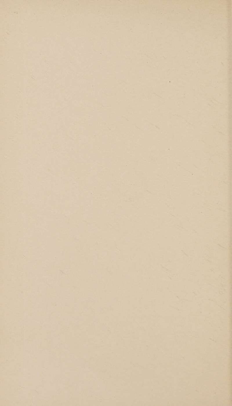 Anes iP Fie AS Oe i ae ‘ ; Prt - Pi Se is is Scere ae Sy he A ia