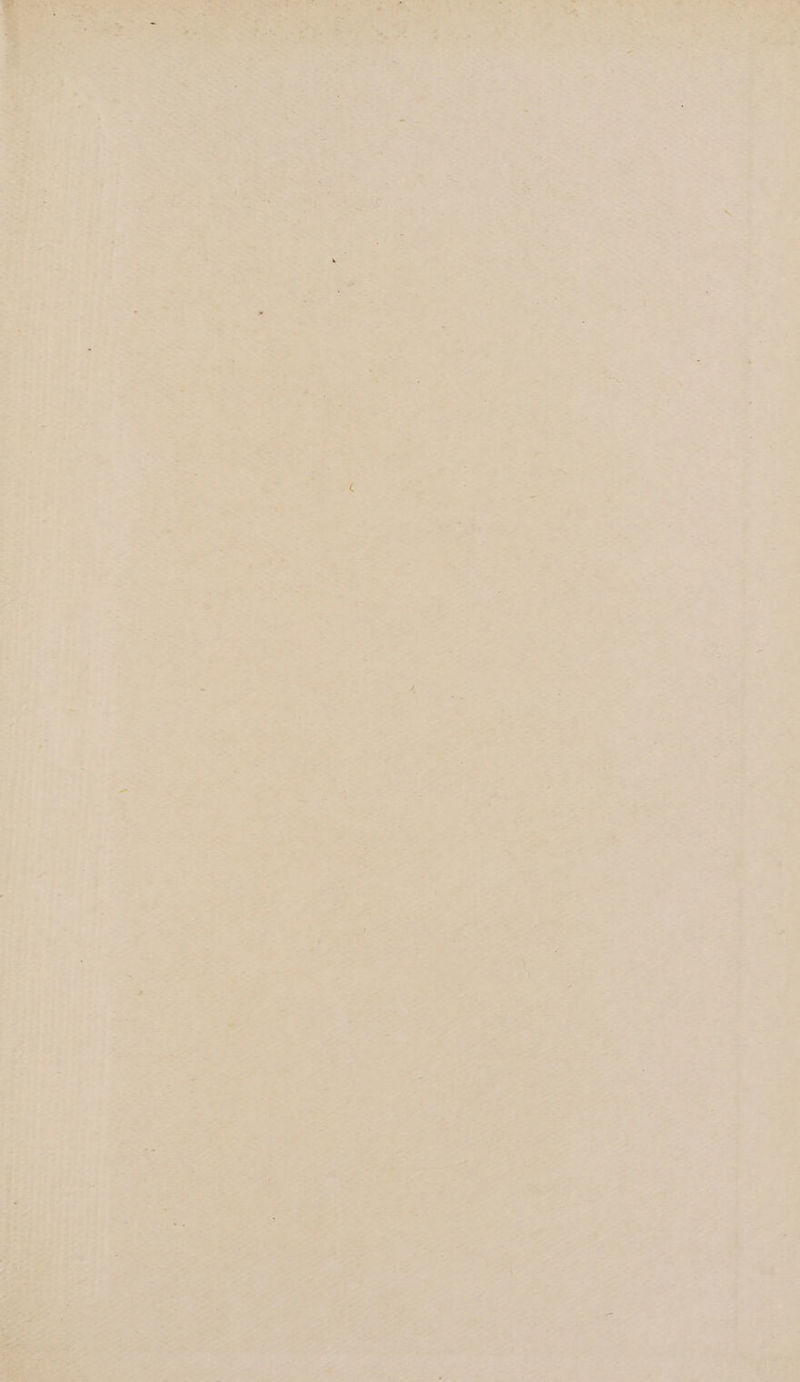 . oe : aa my nt ly ' t haces Teme sue