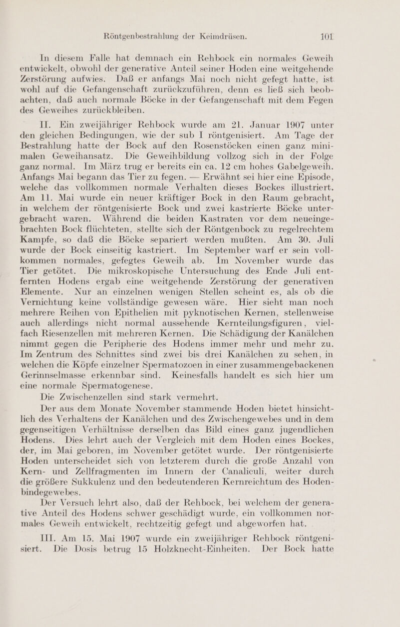 In diesem Falle hat demnach ein Rehbock ein normales Geweih entwickelt, obwohl der generative Anteil seiner Hoden eine weitgehende Zerstörung aufwies. Daß er anfangs Mai noch nicht gefegt hatte, ist wohl auf die Gefangenschaft zurückzuführen, denn es ließ sich beob- achten, daß auch normale Böcke in der Gefangenschaft mit dem Fegen des Geweihes zurückbleiben. II. Ein zweijähriger Rehbock wurde am 21. Januar 1907 unter den gleichen Bedingungen, wie der sub I röntgenisiertt. Am Tage der Bestrahlung hatte der Bock auf den Rosenstöcken einen ganz mini- malen Geweihansatz. Die Geweihbildung vollzog sich in der Folge ganz normal. Im März trug er bereits ein ca. 12 cm hohes Gabelgeweih. Anfangs Mai begann das Tier zu fegen. — Erwähnt sei hier eine Episode, welche das vollkommen normale Verhalten dieses Bockes illustriert. Am 11. Mai wurde ein neuer kräftiger Bock in den Raum gebracht, in welchem der röntgenisierte Bock und zwei kastrierte Böcke unter- gebracht waren. Während die beiden Kastraten vor dem neueinge- brachten Bock flüchteten, stellte sich der Röntgenbock zu regelrechtem Kampfe, so daß die Böcke separiert werden mußten. Am 30. Juli wurde der Bock einseitig kastriert. Im September warf er sein voll- kommen normales, gefegtes Geweih ab. Im November wurde das Tier getötet. Die mikroskopische Untersuchung des Ende Juli ent- fernten Hodens ergab eine weitgehende Zerstörung der generativen Elemente. Nur an einzelnen wenigen Stellen scheint es, als ob die Vernichtung keine vollständige gewesen wäre. Hier sieht man noch mehrere Reihen von Epithelien mit pyknotischen Kernen, stellenweise auch allerdings nicht normal aussehende Kernteilungsfiguren, viel- fach Riesenzellen mit mehreren Kernen. Die Schädigung der Kanälchen nimmt gegen die Peripherie des Hodens immer mehr und mehr zu. Im Zentrum des Schnittes sind zwei bis drei Kanälchen zu sehen, in welchen die Köpfe einzelner Spermatozoen in einer zusammengebackenen Gerinnselmasse erkennbar sind. Keinesfalls handelt es sich hier um eine normale Spermatogenese. Die Zwischenzellen sind stark vermehrt. Der aus dem Monate November stammende Hoden bietet hinsicht- lich des Verhaltens der Kanälchen und des Zwischengewebes und in dem gegenseitigen Verhältnisse derselben das Bild eines ganz jugendlichen Hodens. Dies lehrt auch der Vergleich mit dem Hoden eines Bockes, der, im Mai geboren, im November getötet wurde. Der röntgenisierte Hoden unterscheidet sich von letzterem durch die große Anzahl von Kern- und Zellfragmenten im Innern der Canaliculi, weiter durch die größere Sukkulenz und den bedeutenderen Kernreichtum des Hoden- bindegewebes. Der Versuch lehrt also, daß der Rehbock, bei welchem der genera- tive Anteil des Hodens schwer geschädigt wurde, ein vollkommen nor- males Geweih entwickelt, rechtzeitig gefegt und abgeworfen hat. III. Am 15. Mai 1907 wurde ein zweijähriger Rehbock röntgeni- siert. Die Dosis betrug 15 Holzknecht-Einheiten. Der Bock hatte